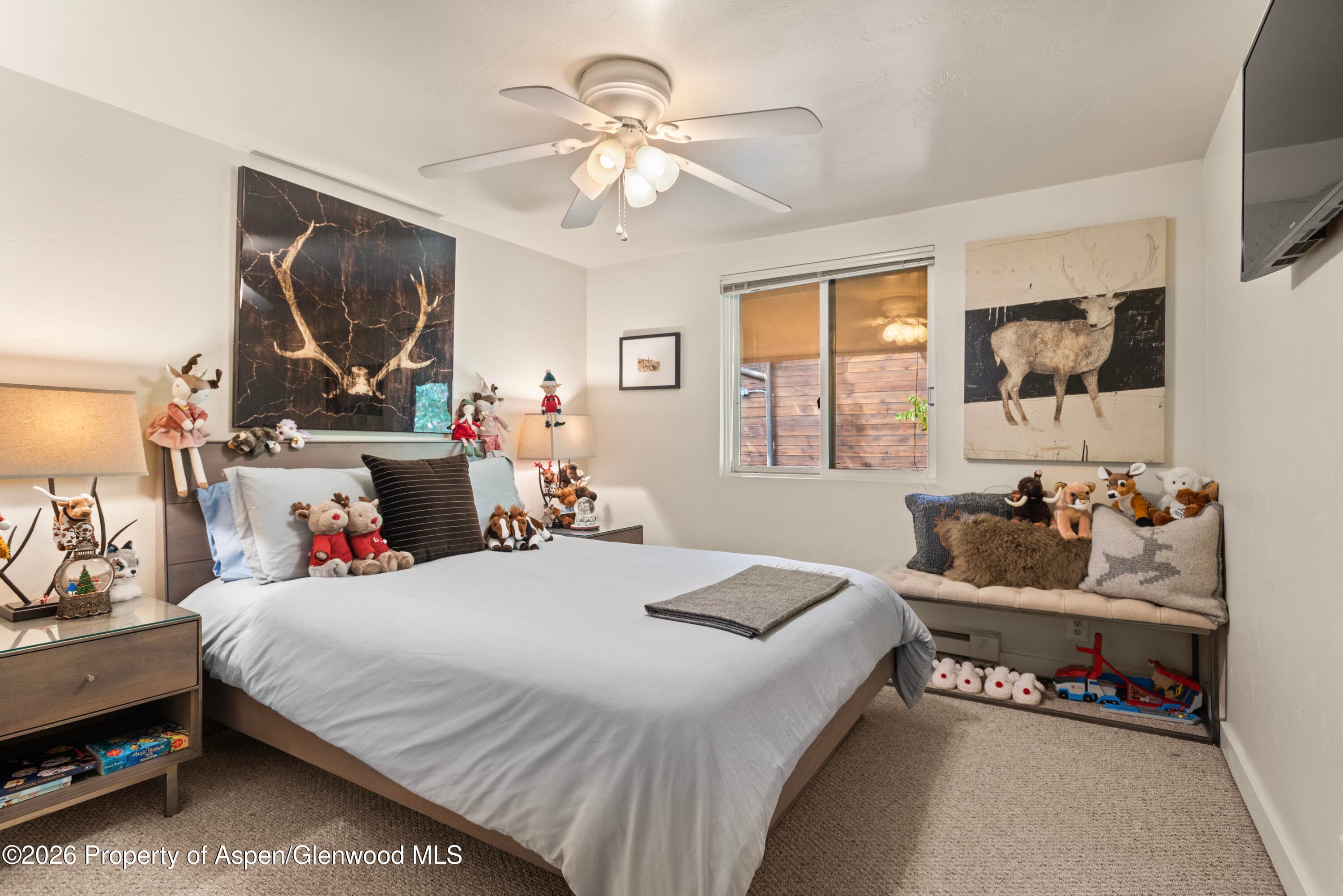 914 Waters Avenue 19, Aspen, CO 81611 - Photo 13