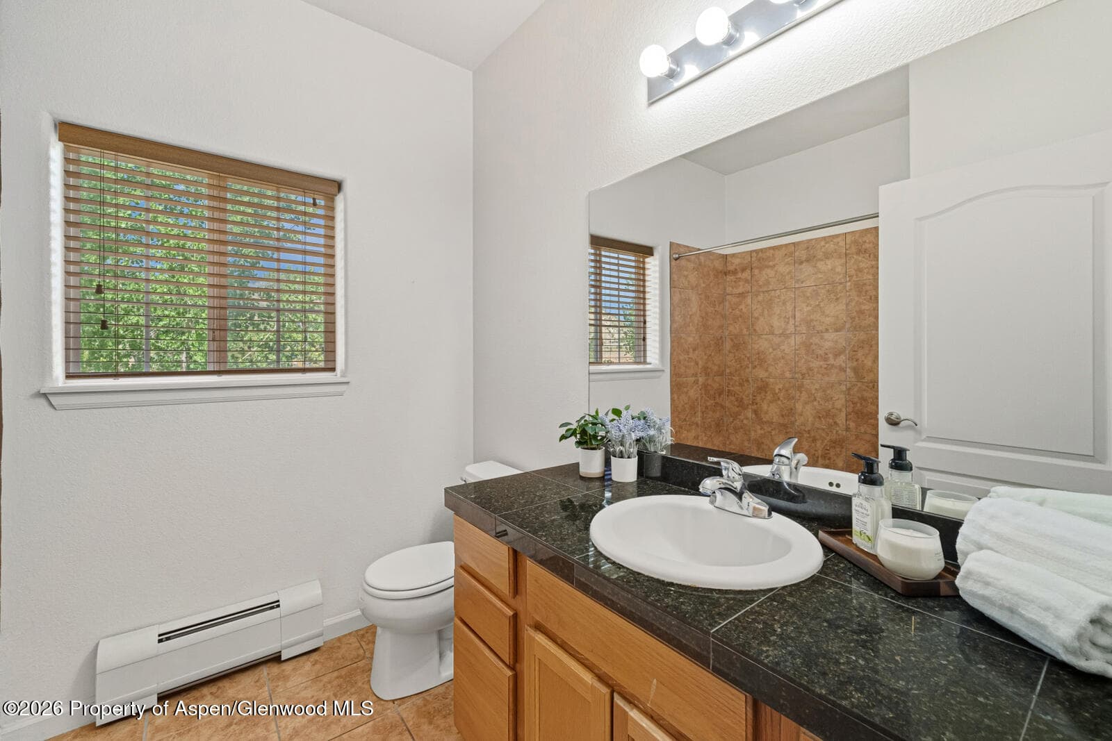 495 River View Drive 1504, New Castle, CO 81647 - Photo 10