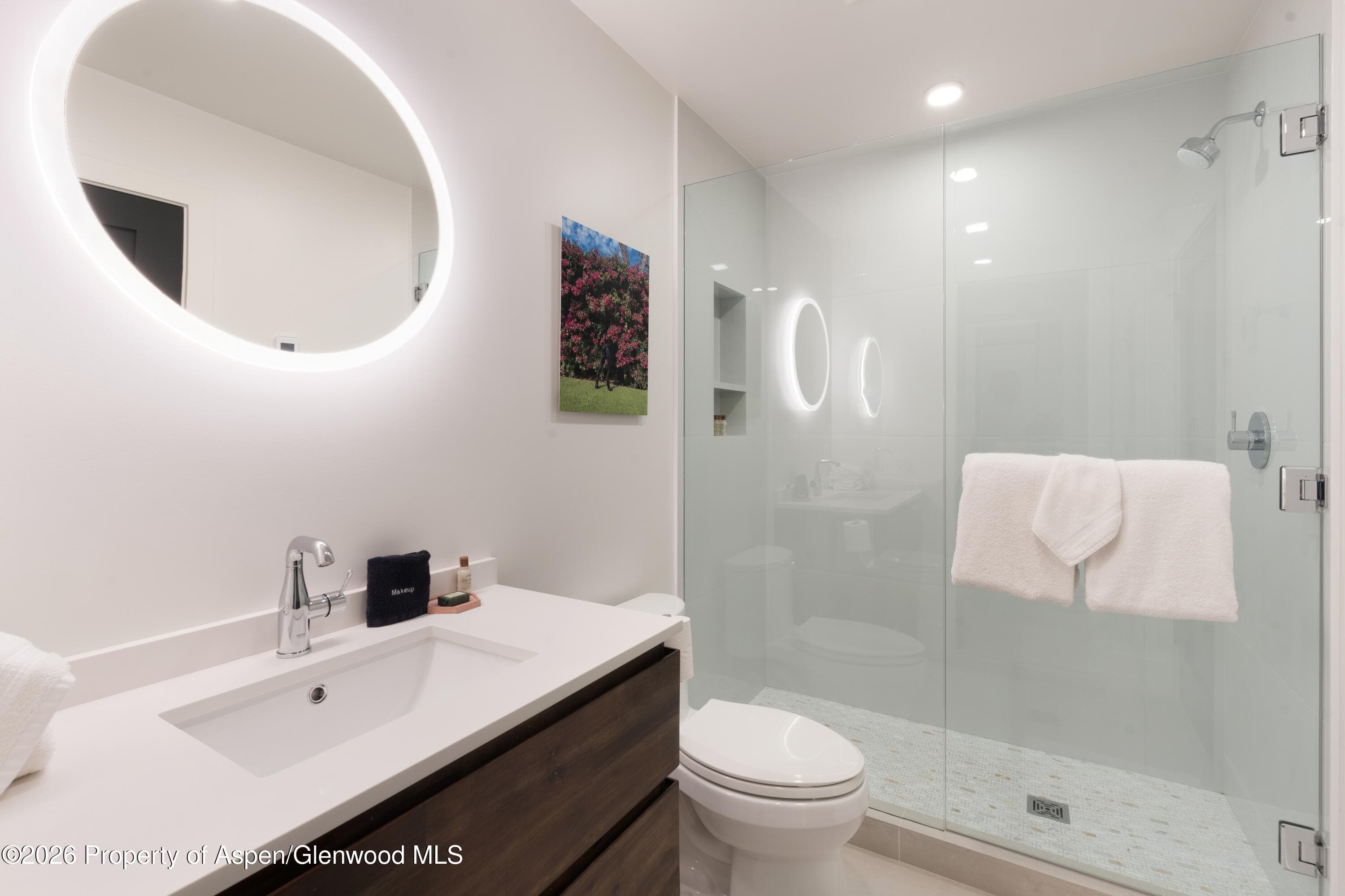 400 Wood Rd Road 1112d And 1111d, Snowmass Village, CO 81615 - Photo 19