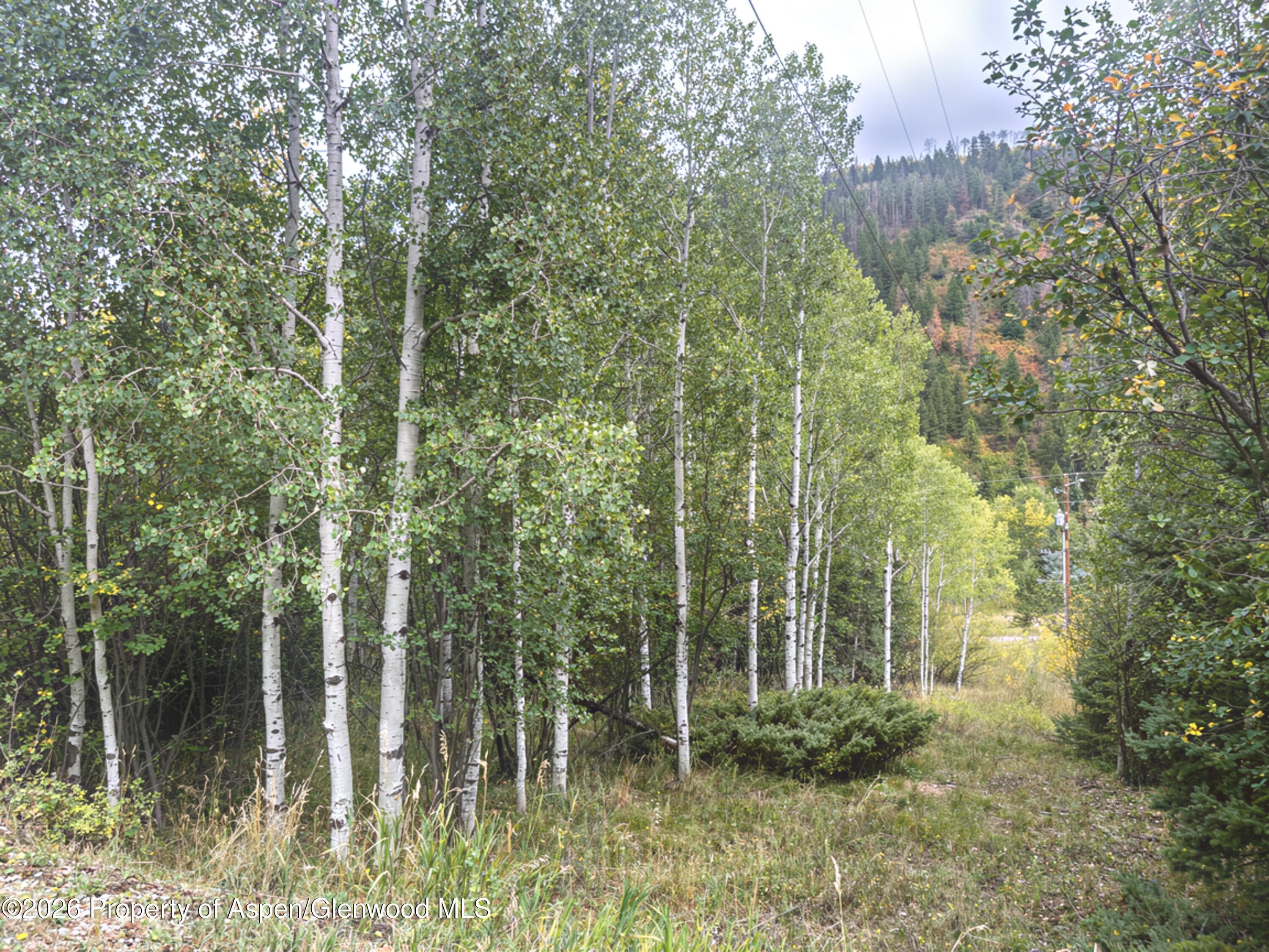62 Aspen Street, Redstone, CO 81623