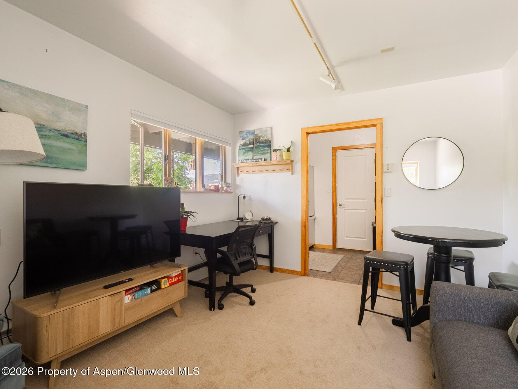 216 E Homestead Drive, Basalt, CO 81621 - Photo 15