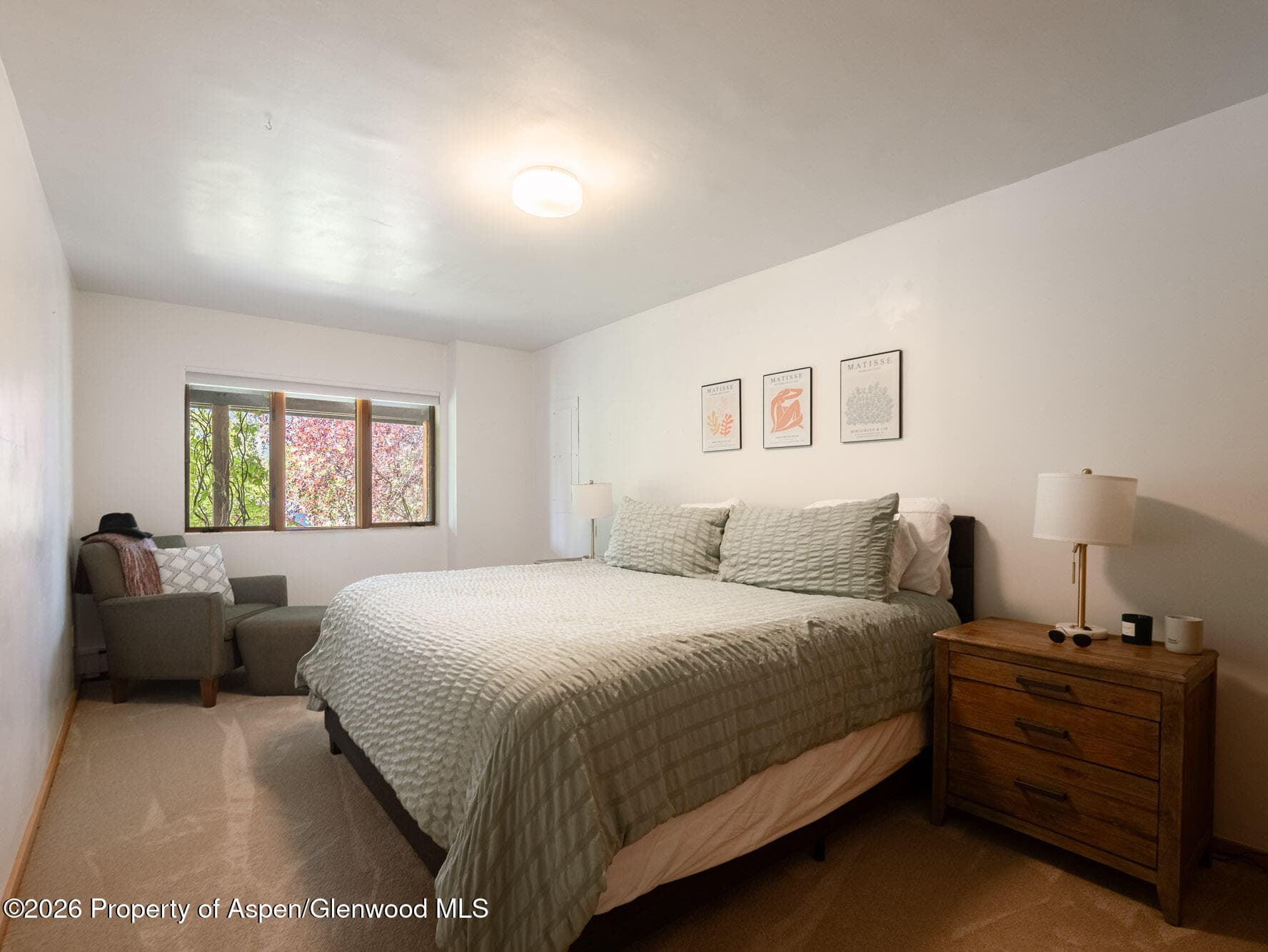 216 E Homestead Drive, Basalt, CO 81621 - Photo 14