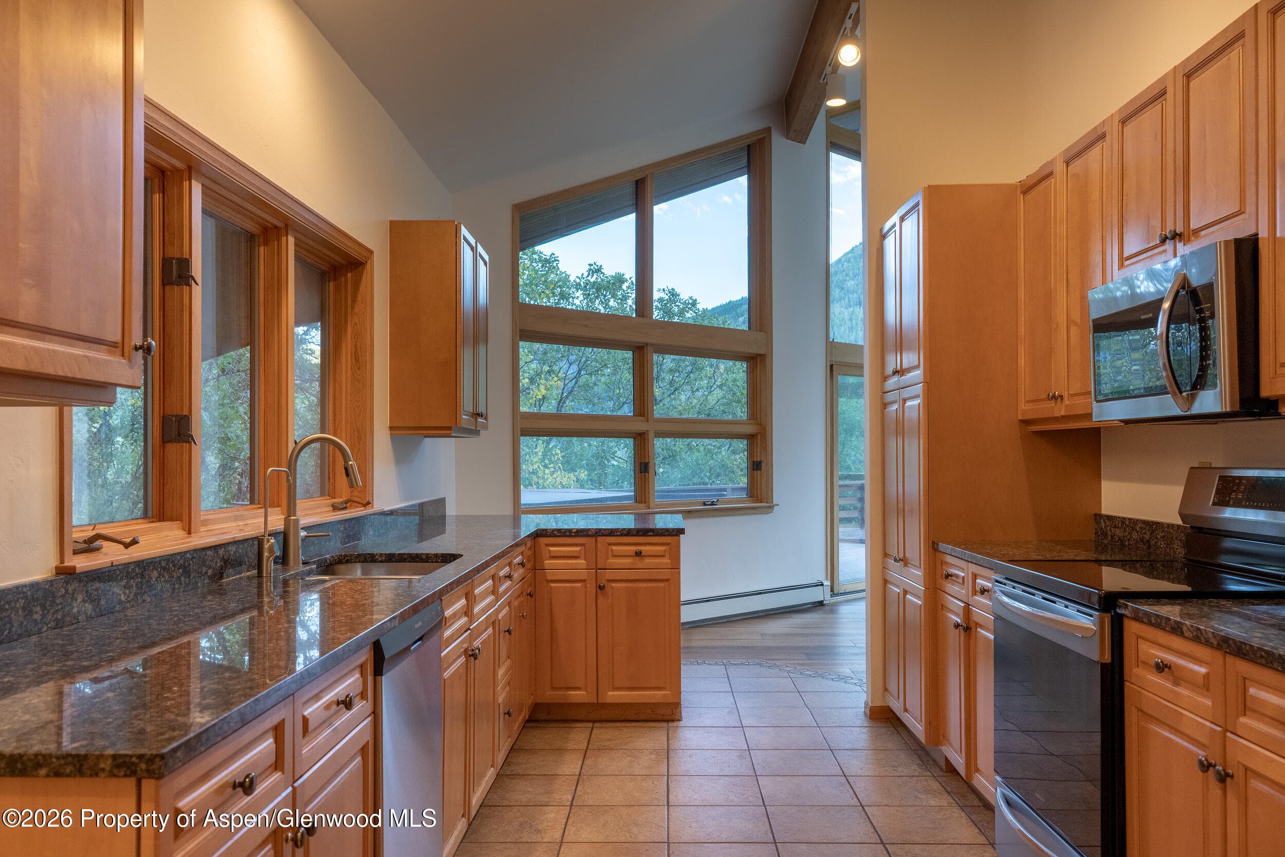 368 E Lupine Drive, Aspen, CO 81611 - Photo 6