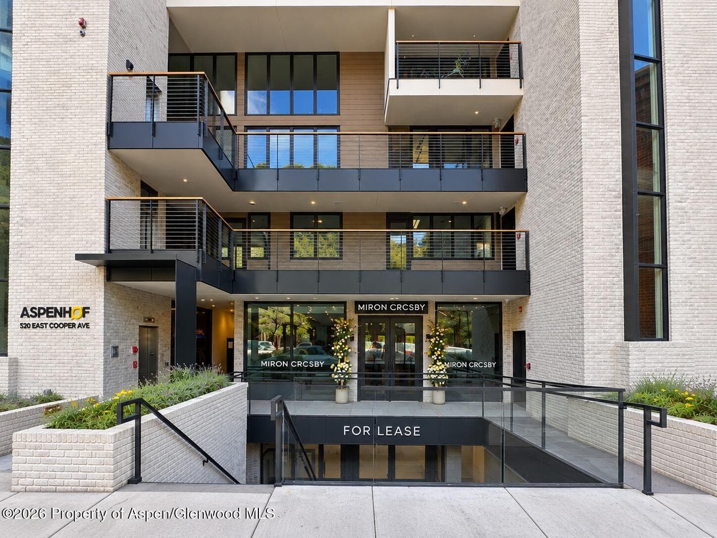 520 E Cooper Avenue Ll2, Aspen, CO 81611 - Photo 2