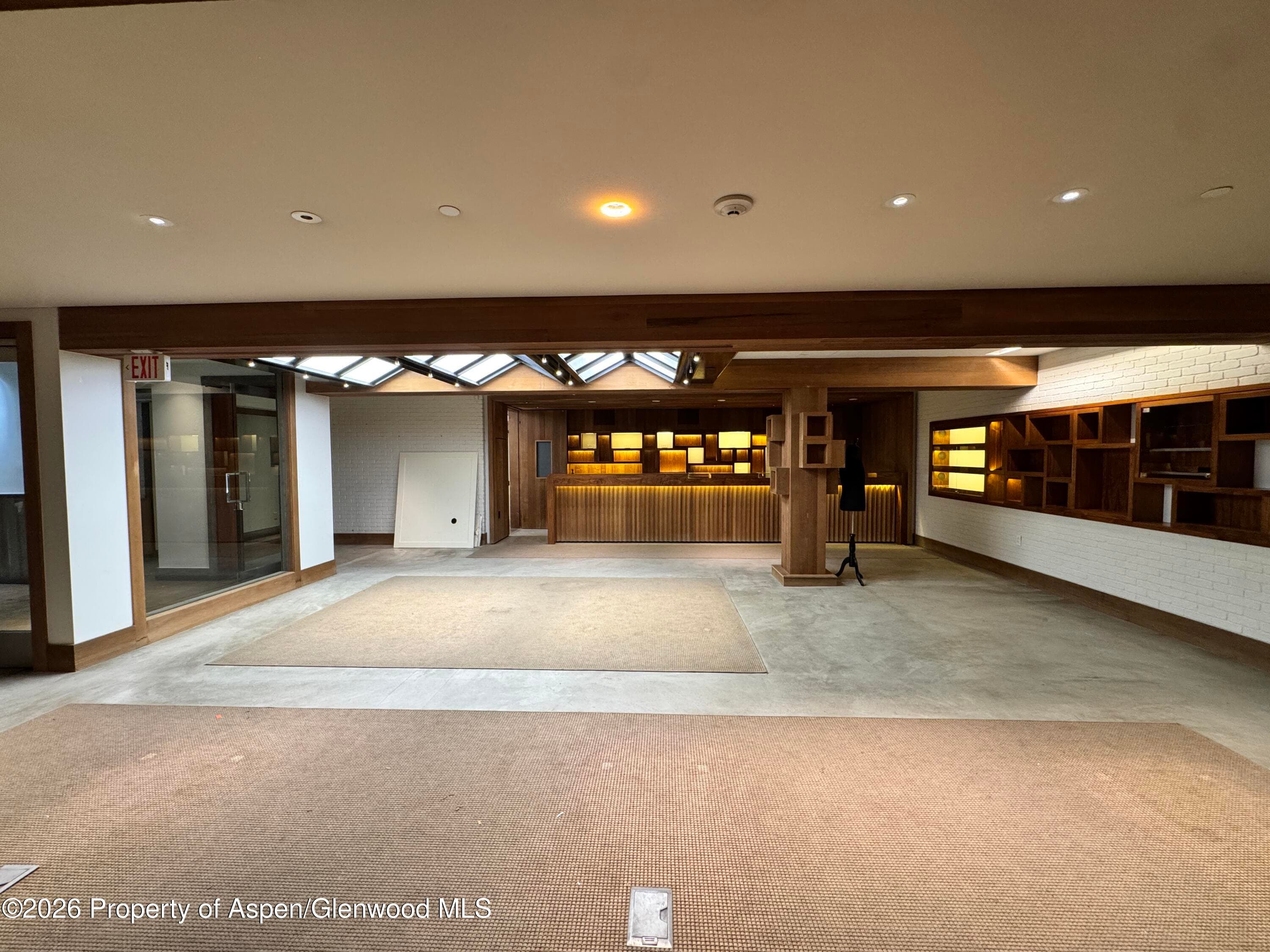 520 E Cooper Avenue Ll2, Aspen, CO 81611 - Photo 10