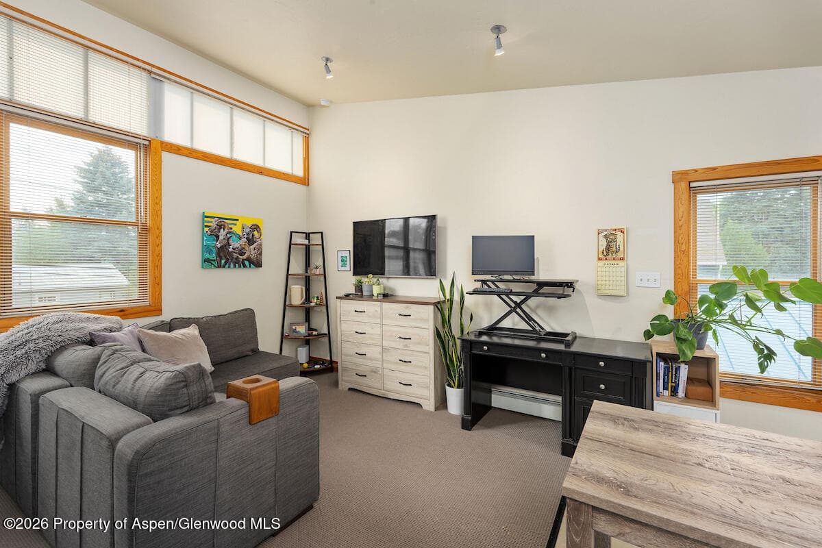 660 Lincoln Avenue, Carbondale, CO 81623 - Photo 37