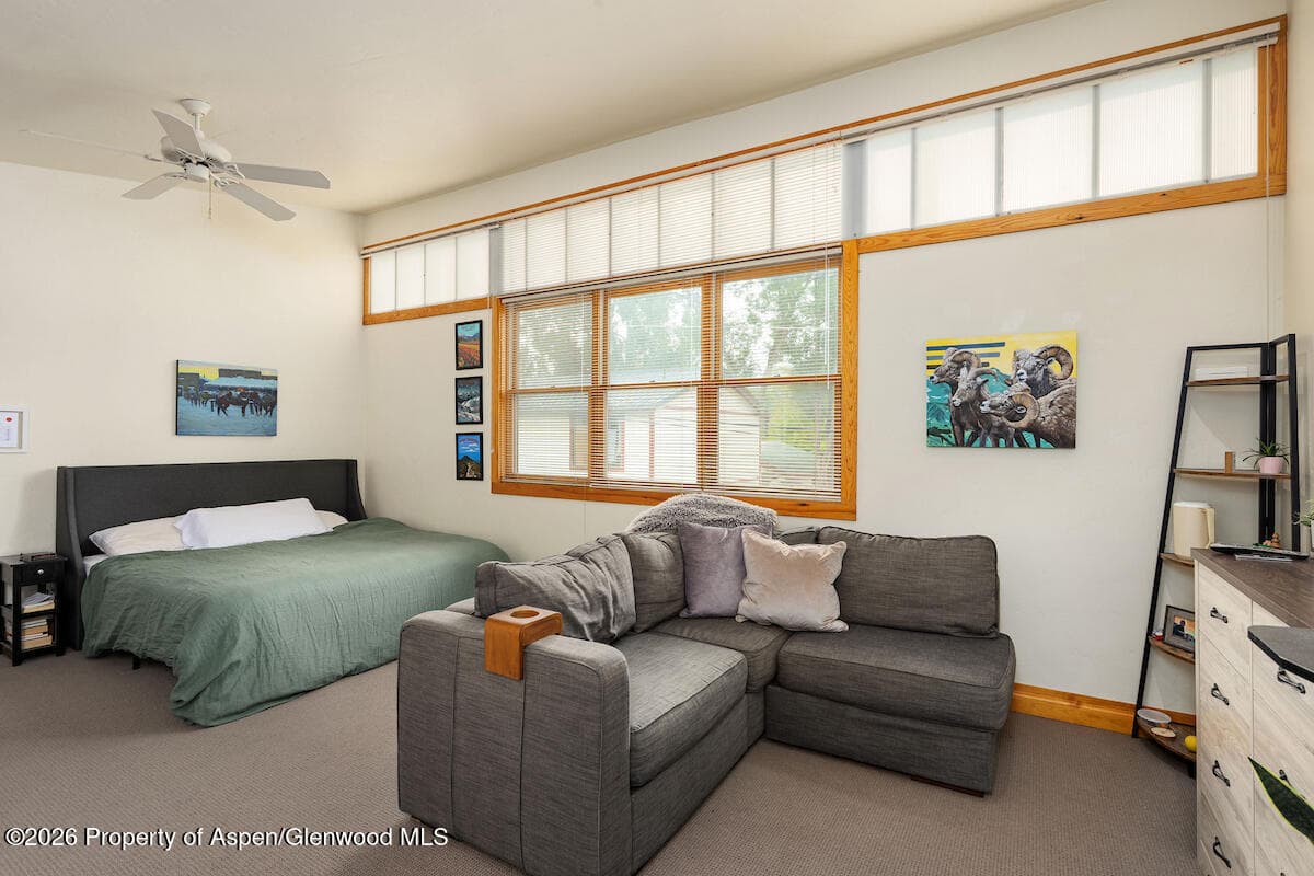 660 Lincoln Avenue, Carbondale, CO 81623 - Photo 38