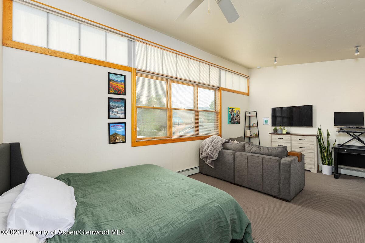 660 Lincoln Avenue, Carbondale, CO 81623 - Photo 39