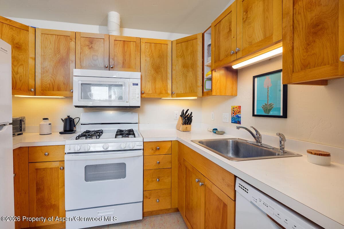 660 Lincoln Avenue, Carbondale, CO 81623 - Photo 41