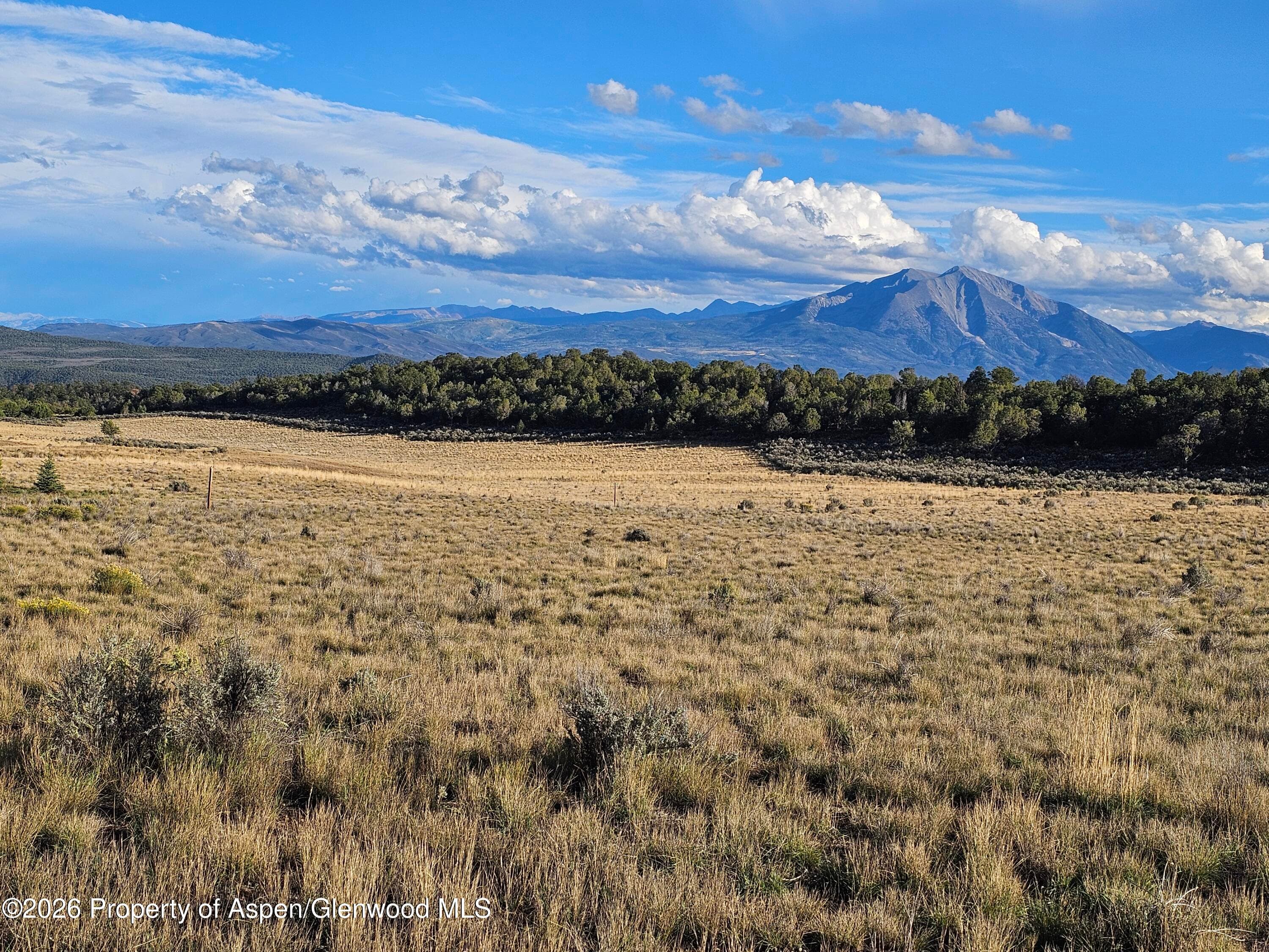 3408 Elk Springs Drive, Glenwood Springs, CO 81601 - Photo 5