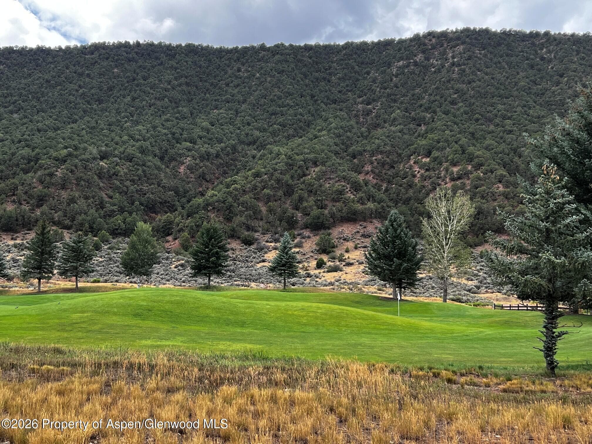 Tbd Golden Bear Drive, Carbondale, CO 81623 - Photo 2