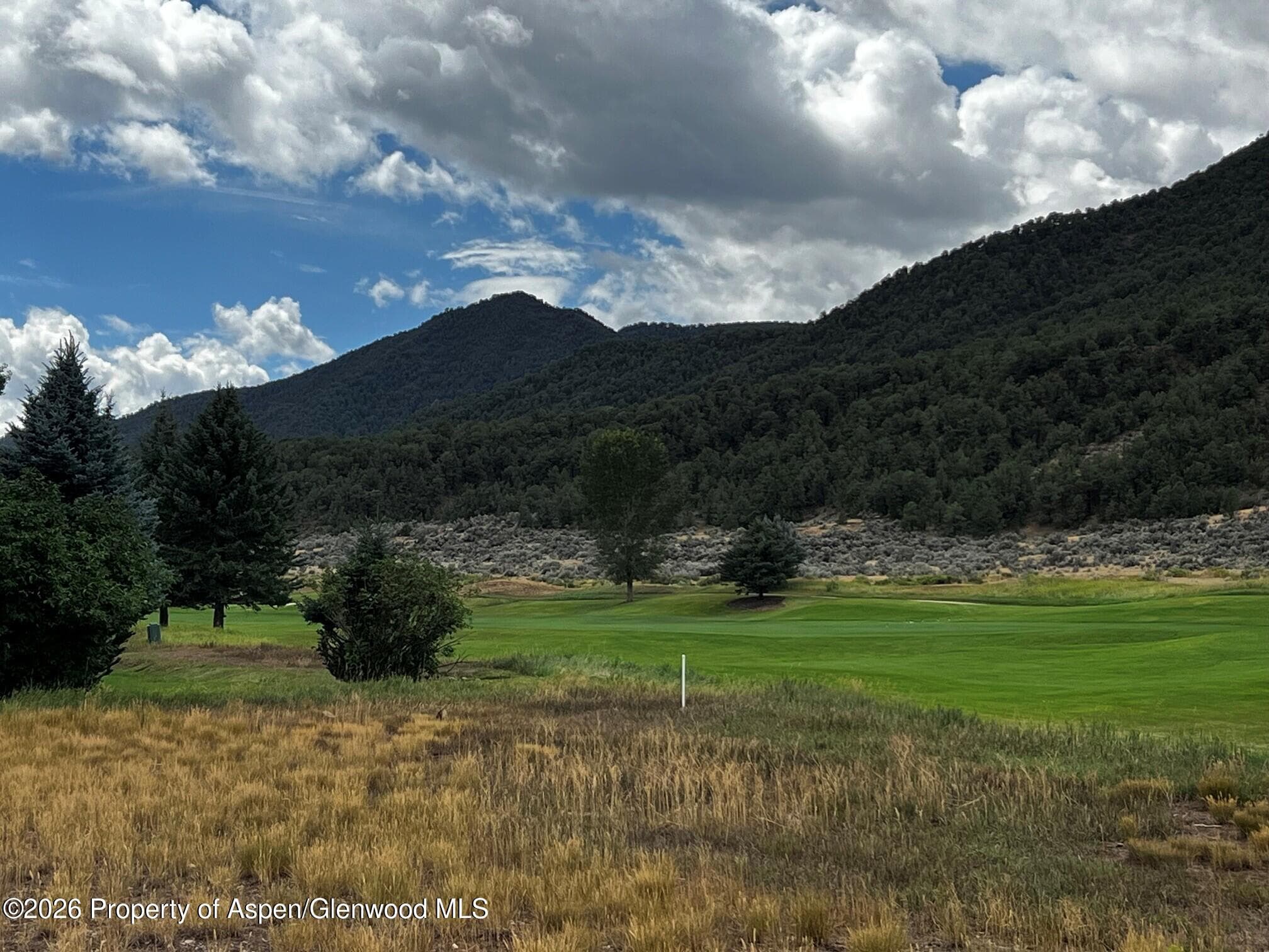Tbd Golden Bear Drive, Carbondale, CO 81623 - Photo 3