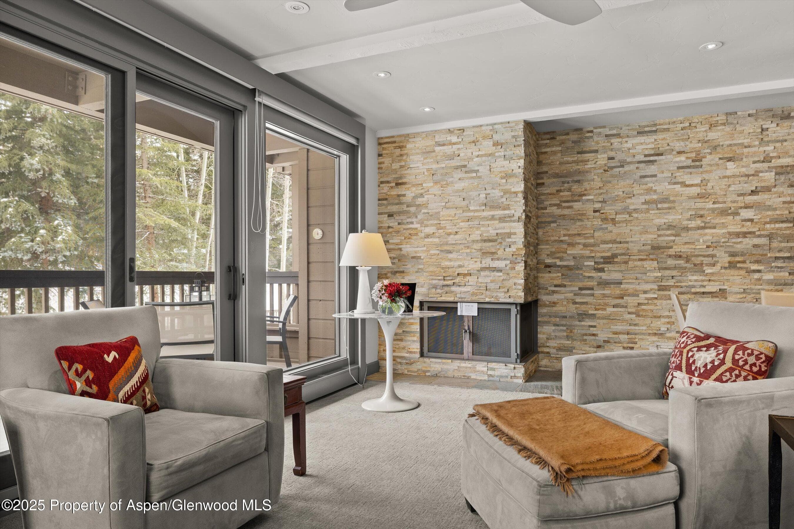 610 S West End Street K201, Aspen, CO 81611 - Photo 4