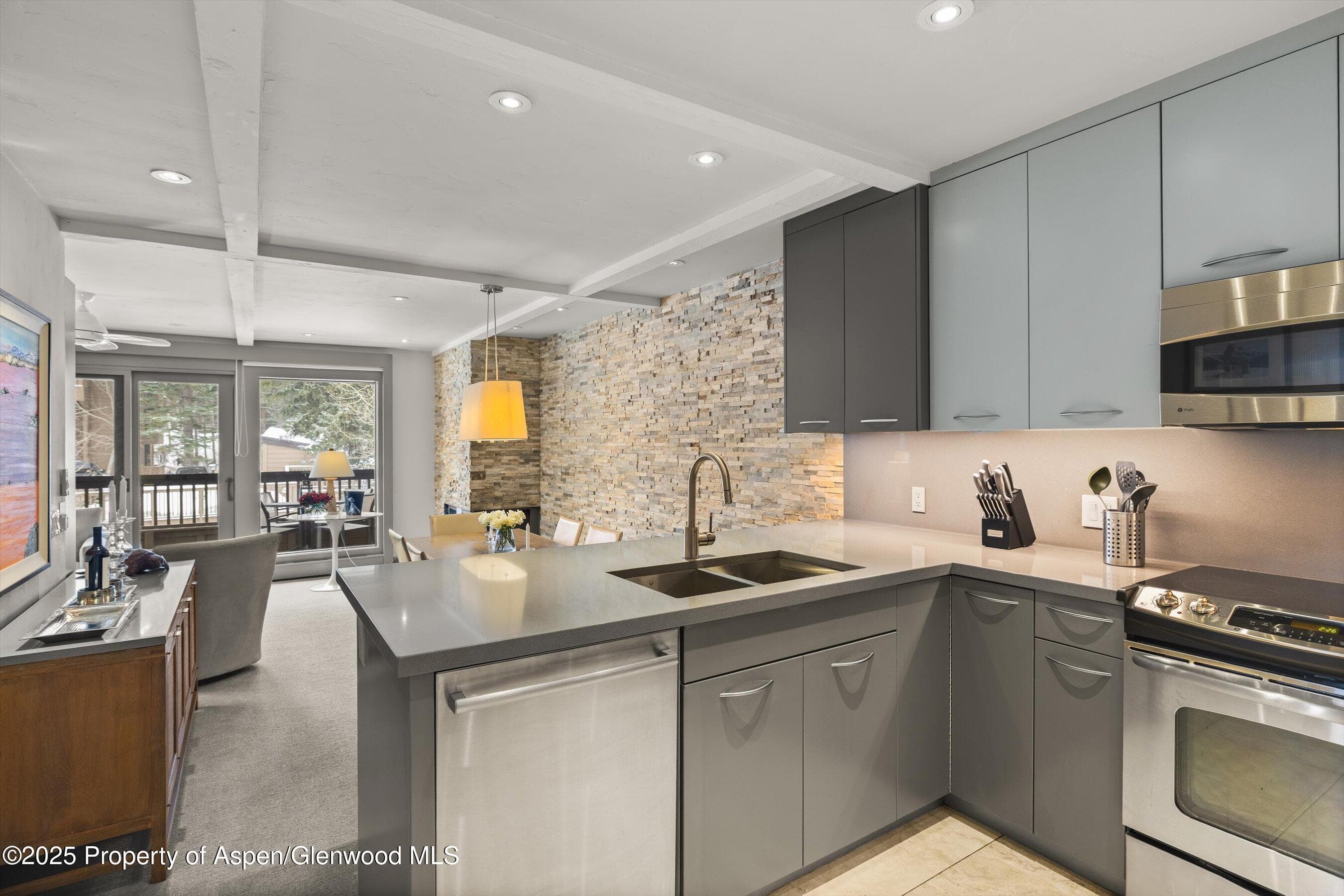 610 S West End Street K201, Aspen, CO 81611 - Photo 8