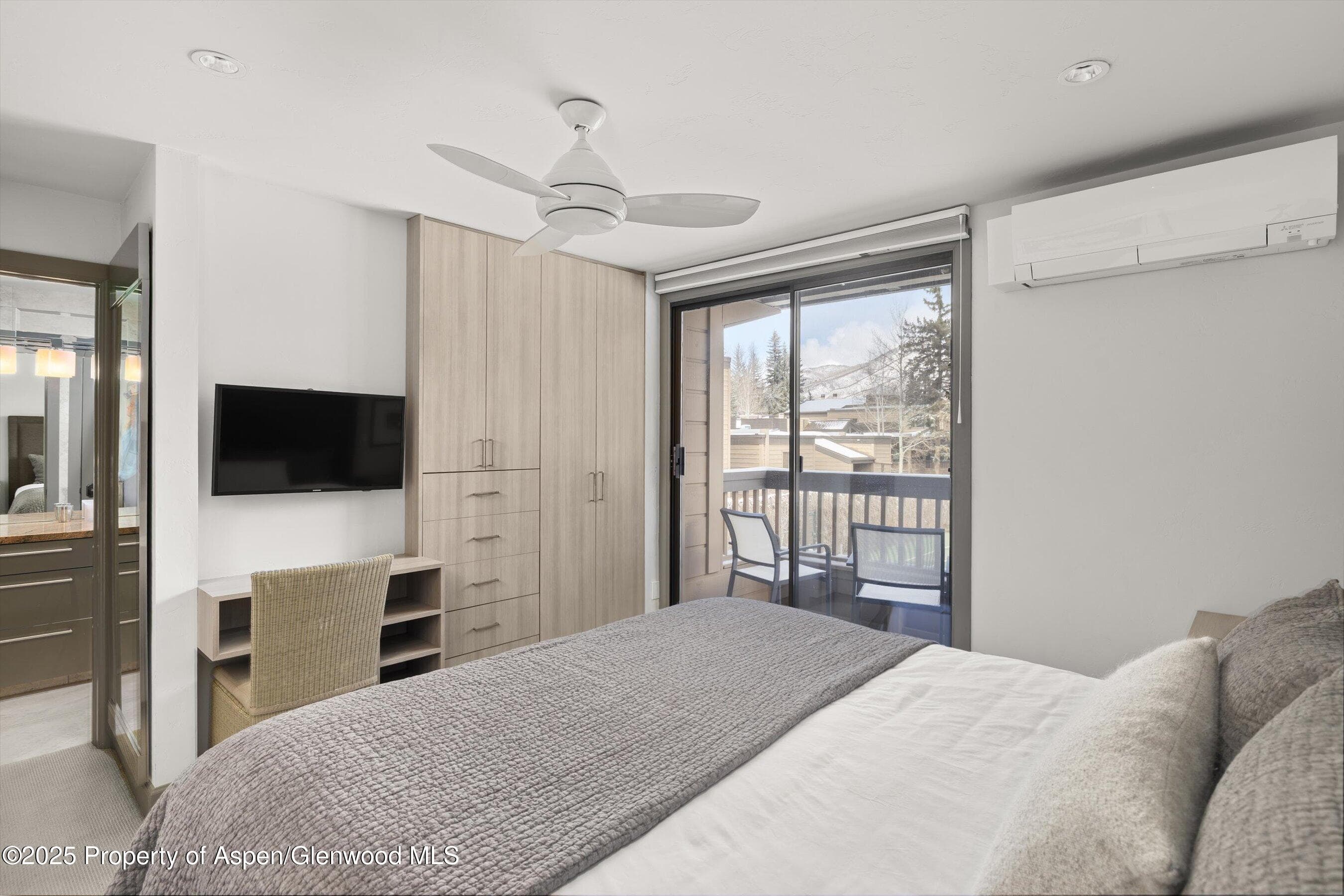 610 S West End Street K201, Aspen, CO 81611 - Photo 10