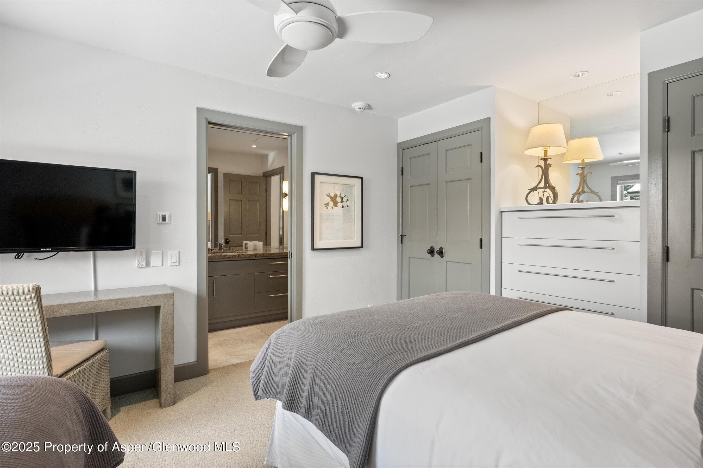 610 S West End Street K201, Aspen, CO 81611 - Photo 15