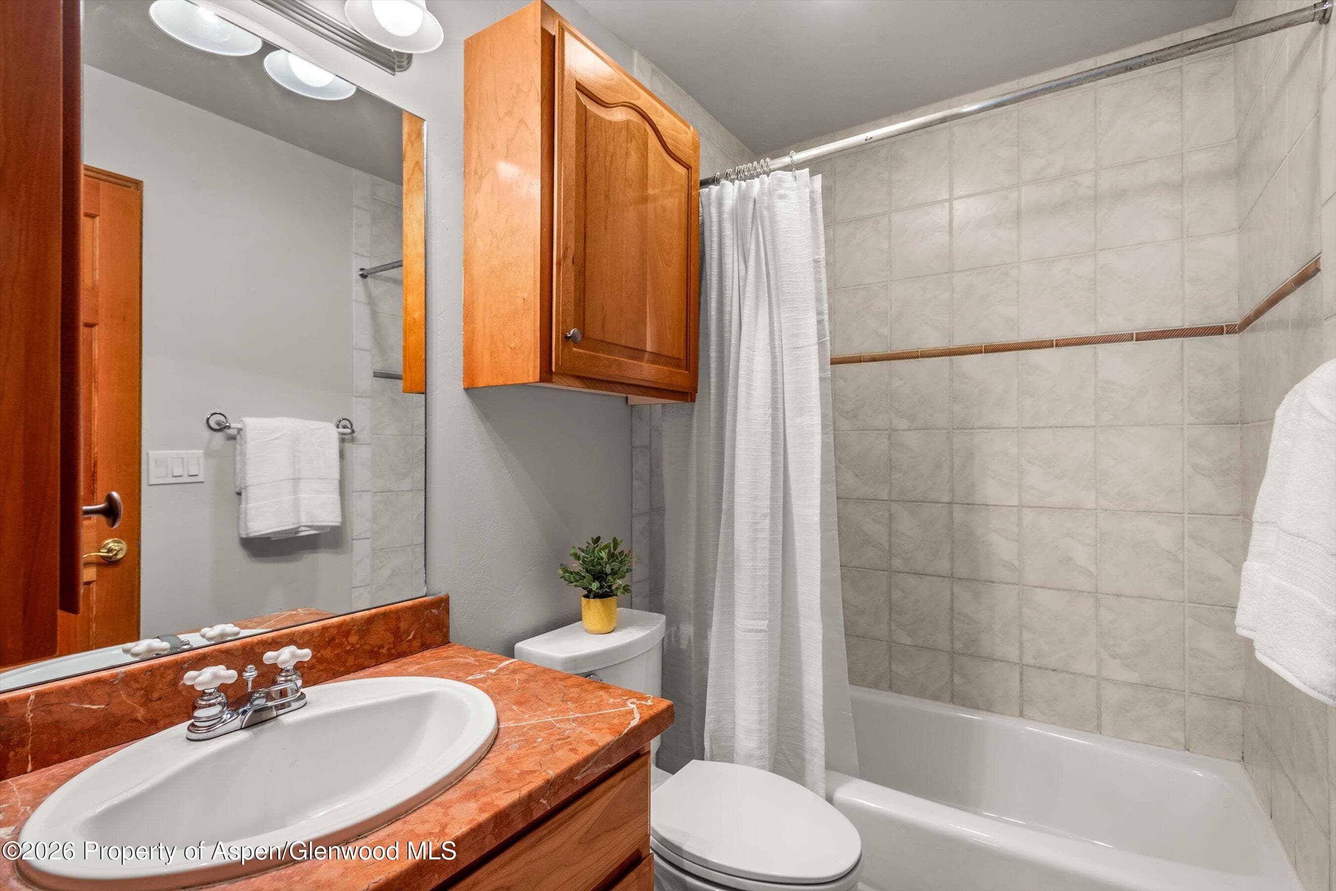 11 Riversedge Court, Basalt, CO 81621 - Photo 15