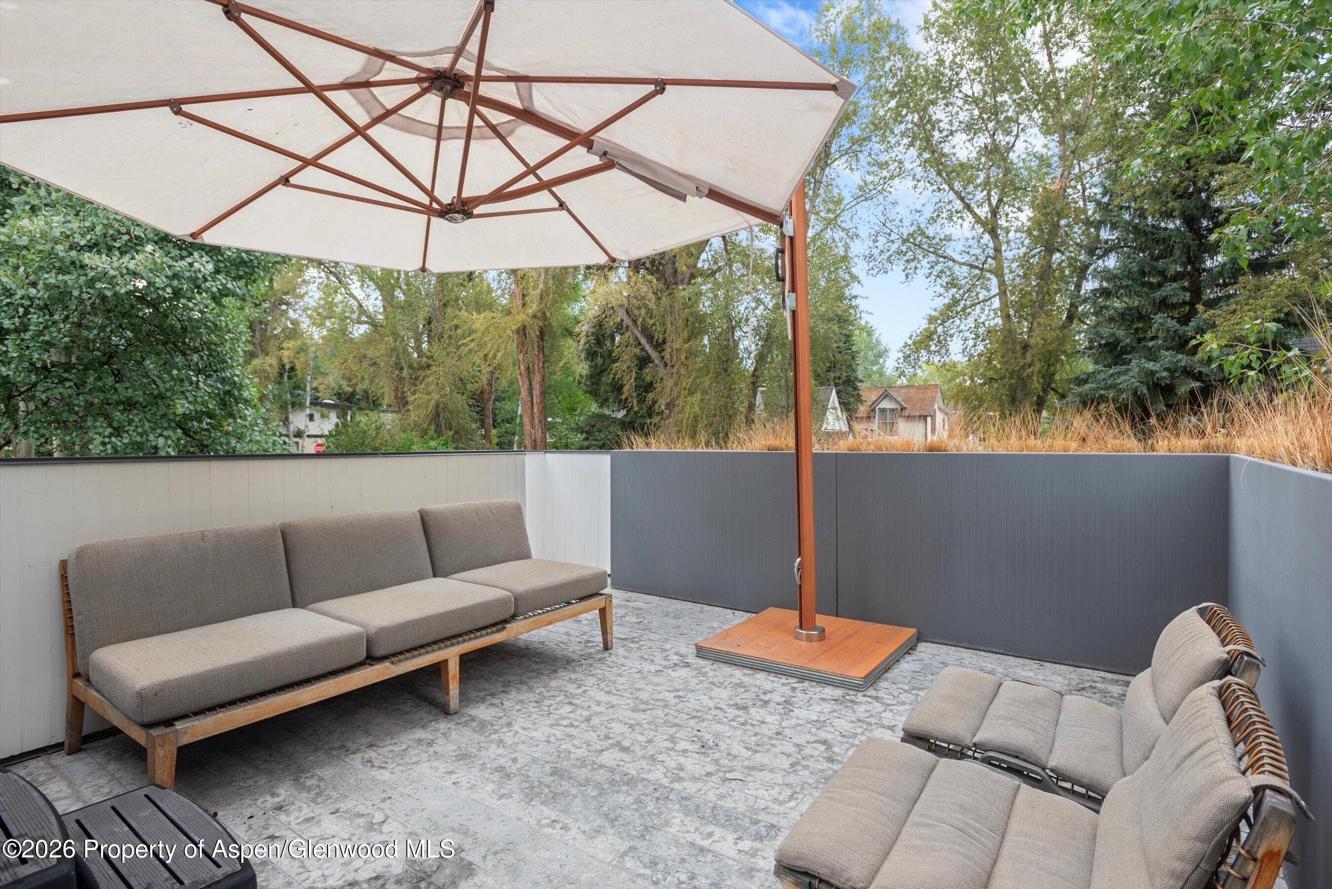 629 W Smuggler Street, Aspen, CO 81611 - Photo 12