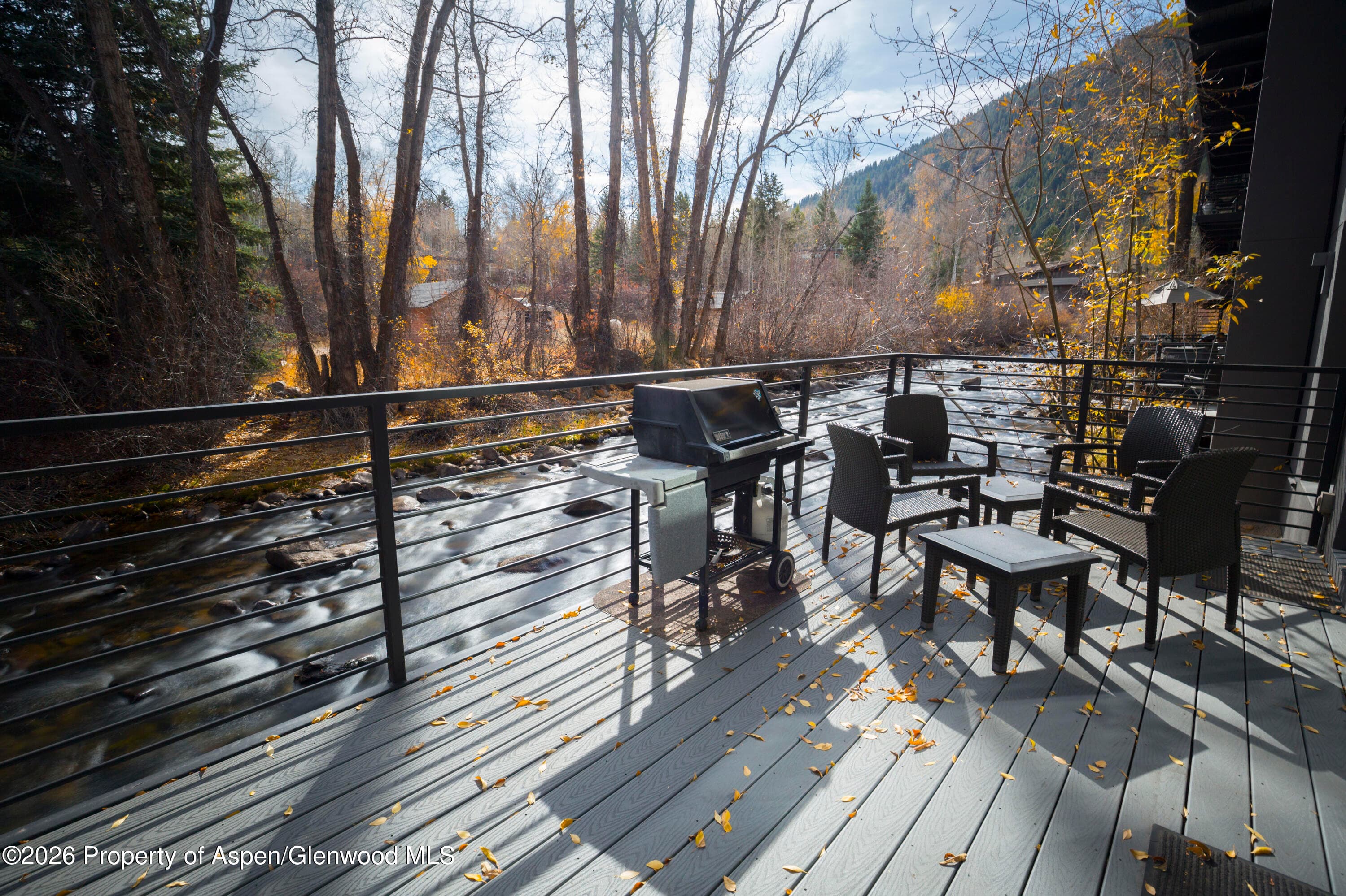 1039 E Cooper Avenue 13, Aspen, CO 81611 - Photo 2