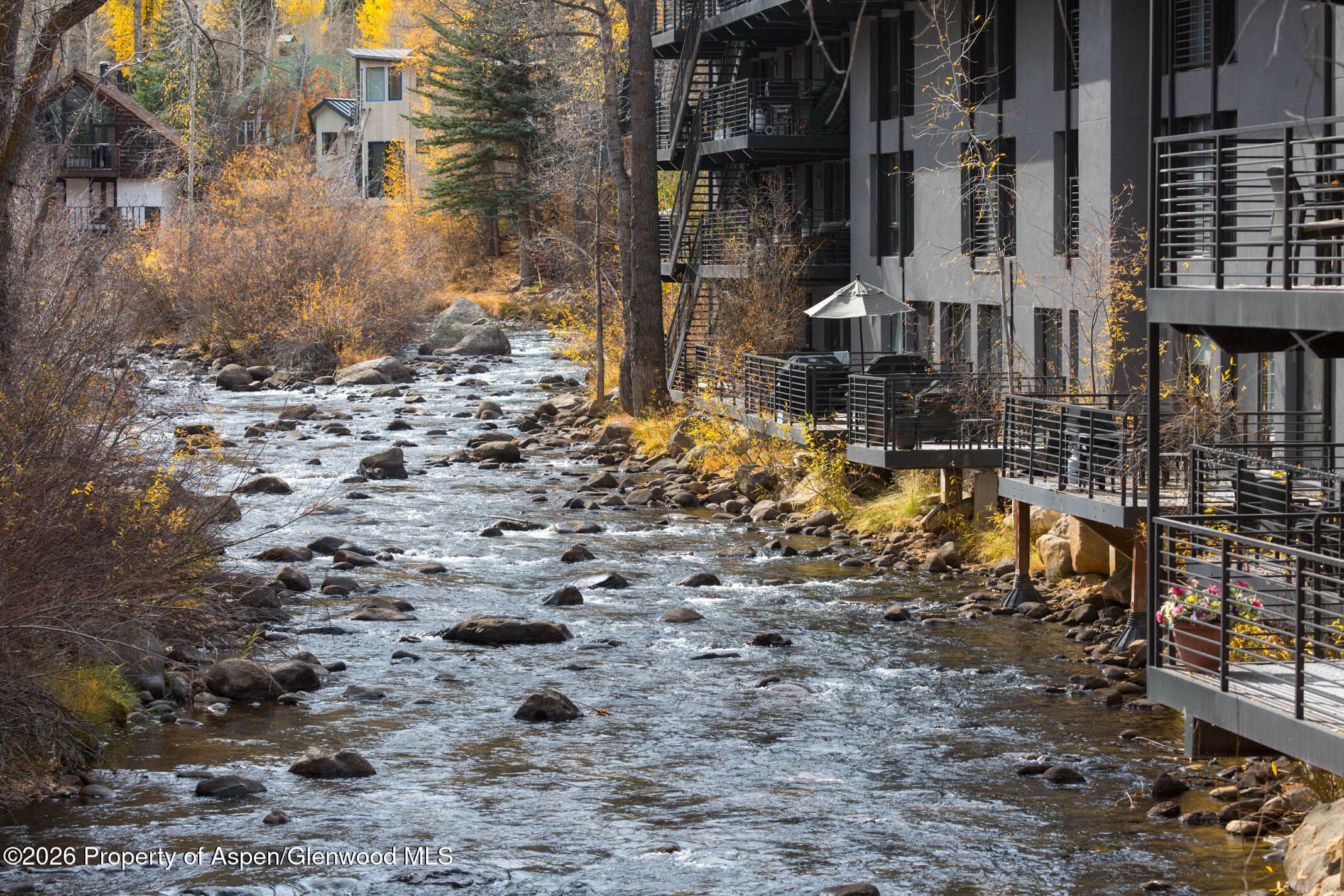1039 E Cooper Avenue 13, Aspen, CO 81611 - Photo 3