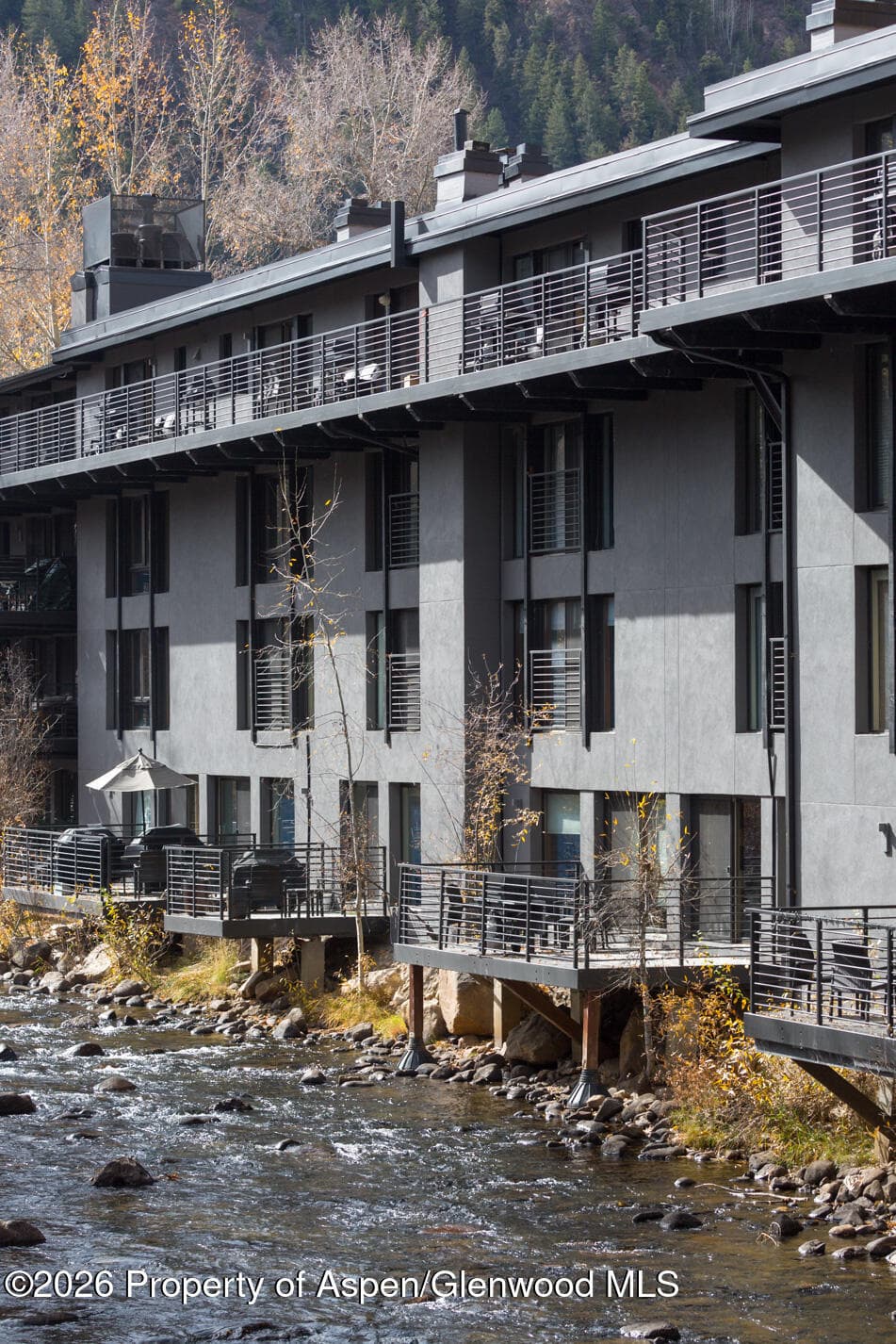 1039 E Cooper Avenue 13, Aspen, CO 81611 - Photo 5