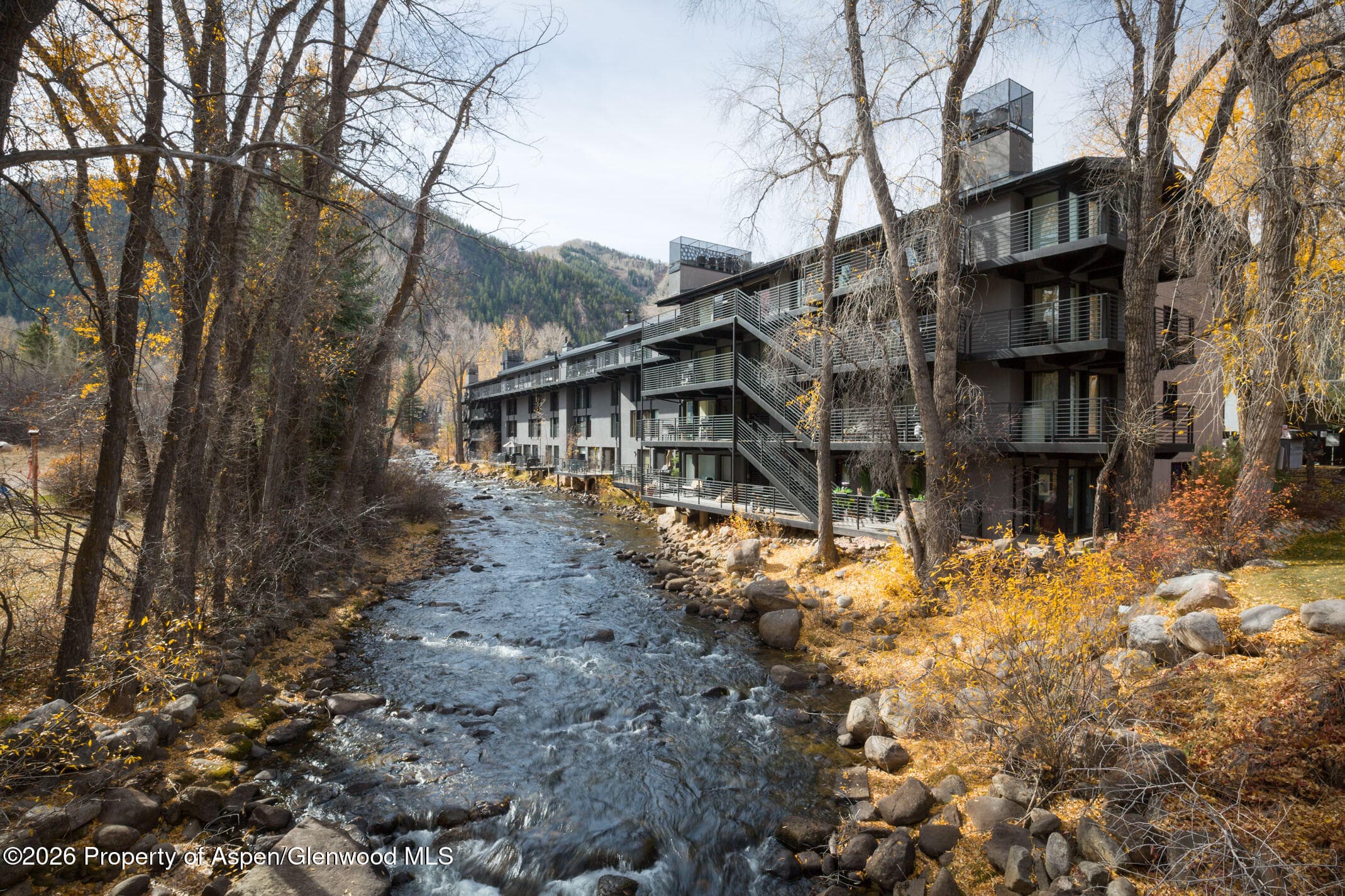 1039 E Cooper Avenue 13, Aspen, CO 81611 - Photo 7