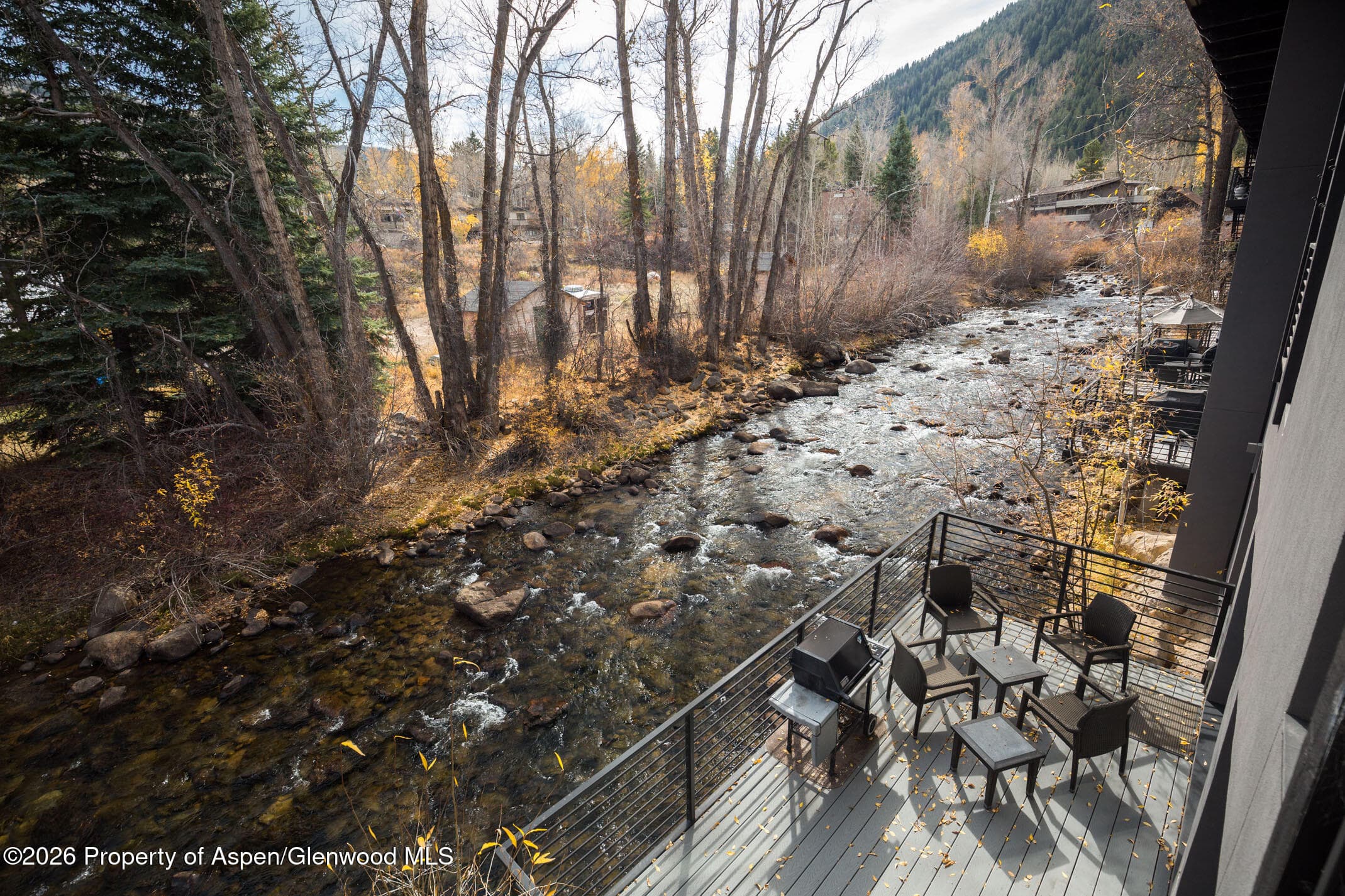 1039 E Cooper Avenue 13, Aspen, CO 81611 - Photo 4