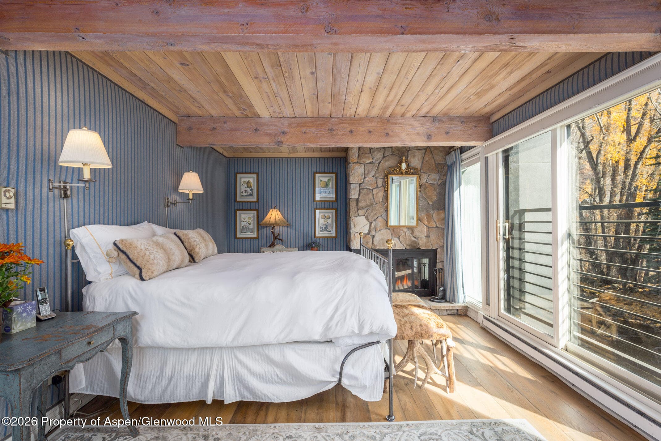 1039 E Cooper Avenue 13, Aspen, CO 81611 - Photo 13