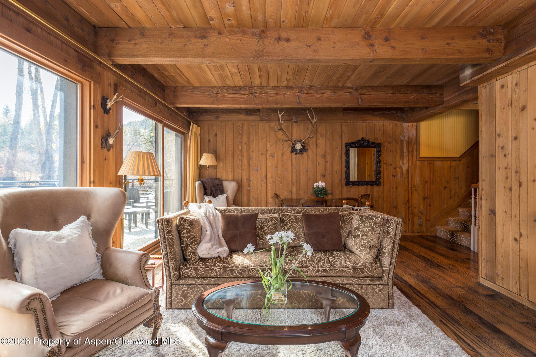 1039 E Cooper Avenue 13, Aspen, CO 81611 - Photo 18