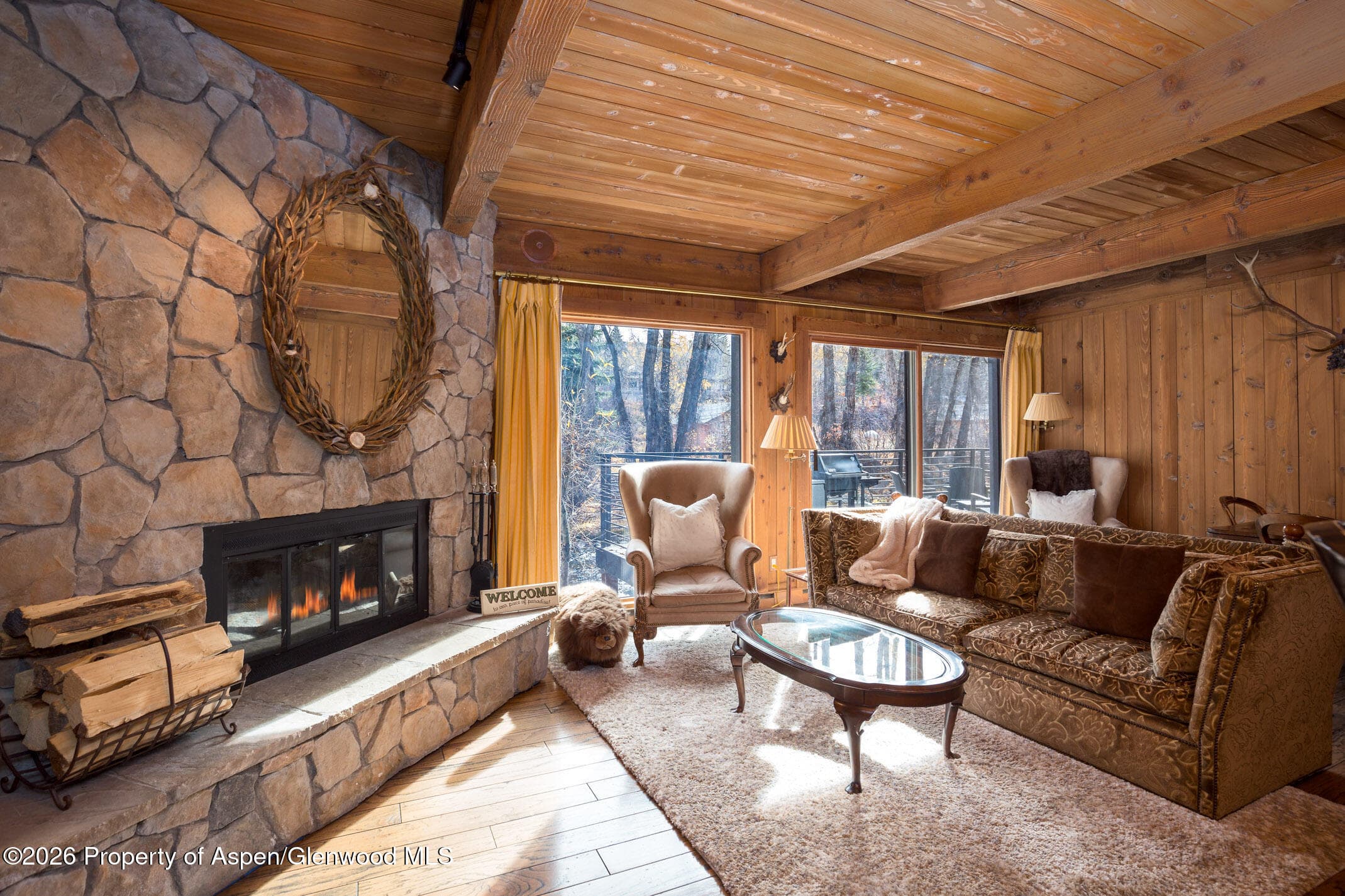 1039 E Cooper Avenue 13, Aspen, CO 81611 - Photo 19