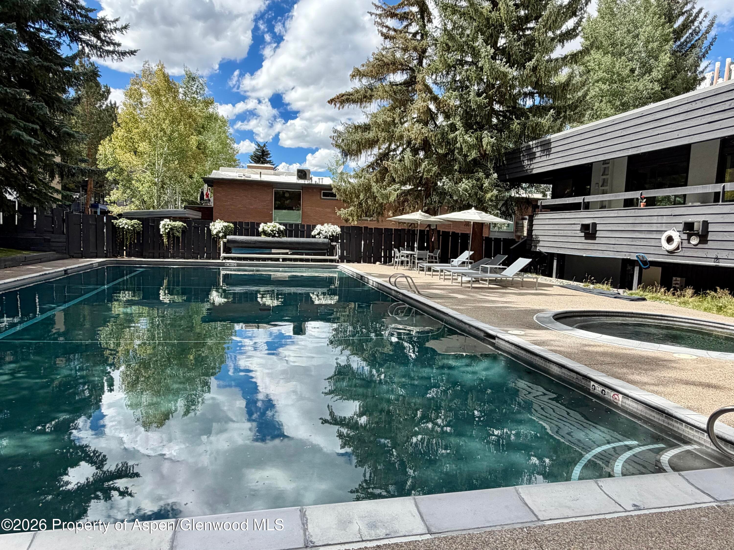1039 E Cooper Avenue 13, Aspen, CO 81611 - Photo 27