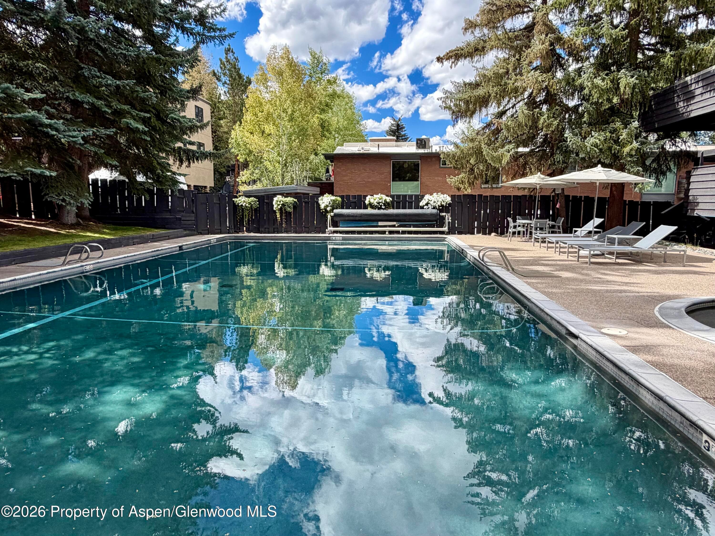 1039 E Cooper Avenue 13, Aspen, CO 81611 - Photo 28
