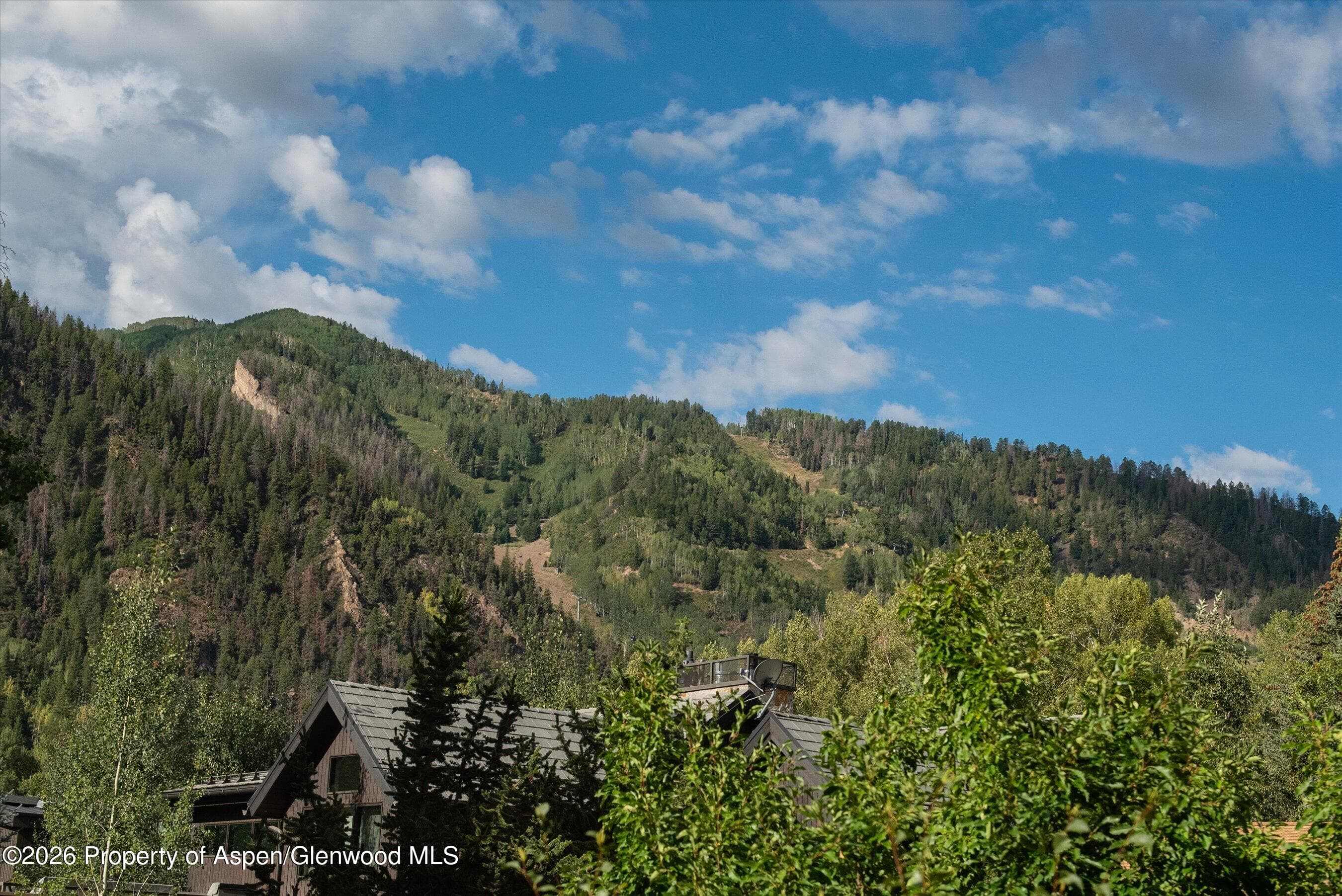 115 Park Avenue, Aspen, CO 81611 - Photo 5