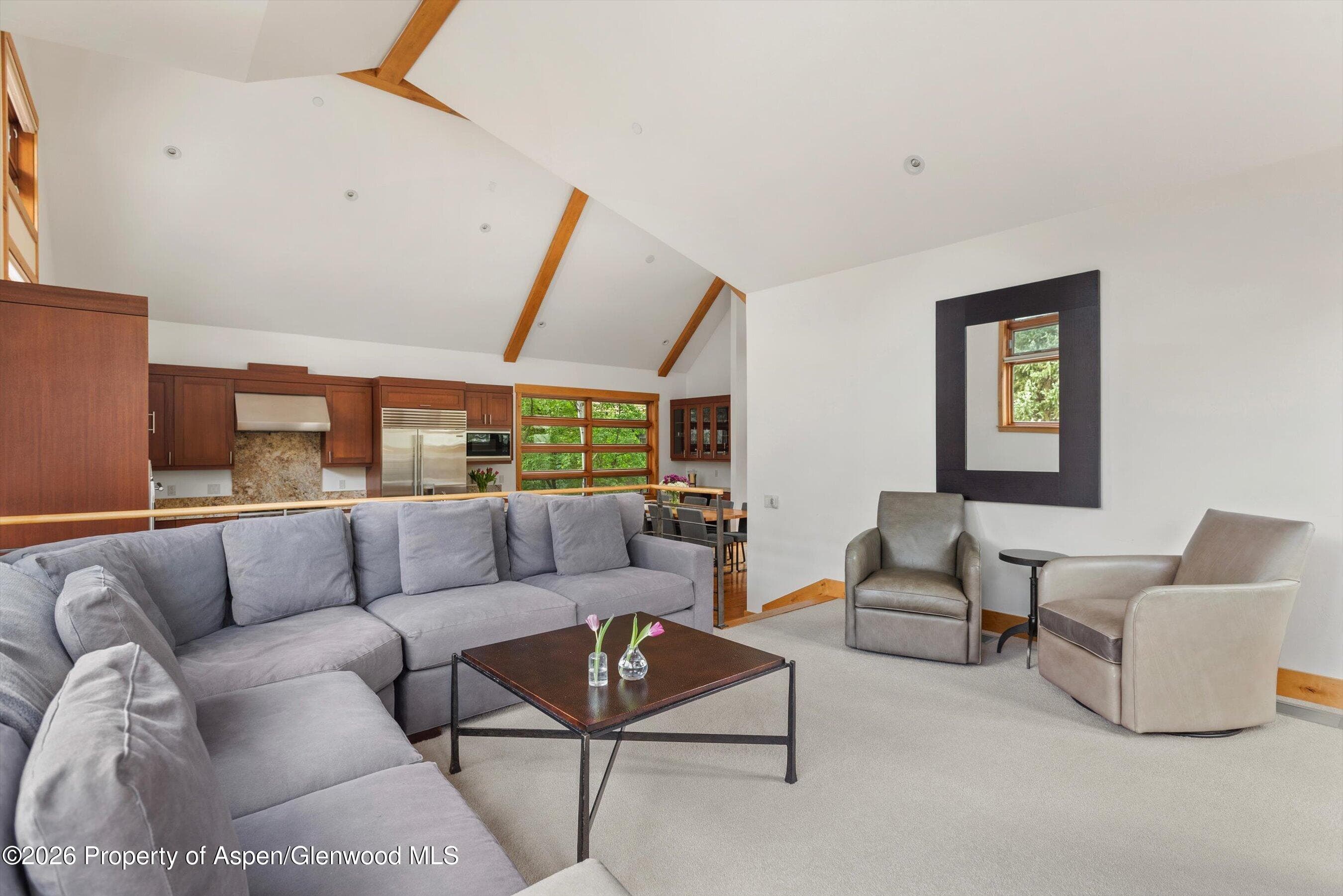 115 Park Avenue, Aspen, CO 81611 - Photo 6