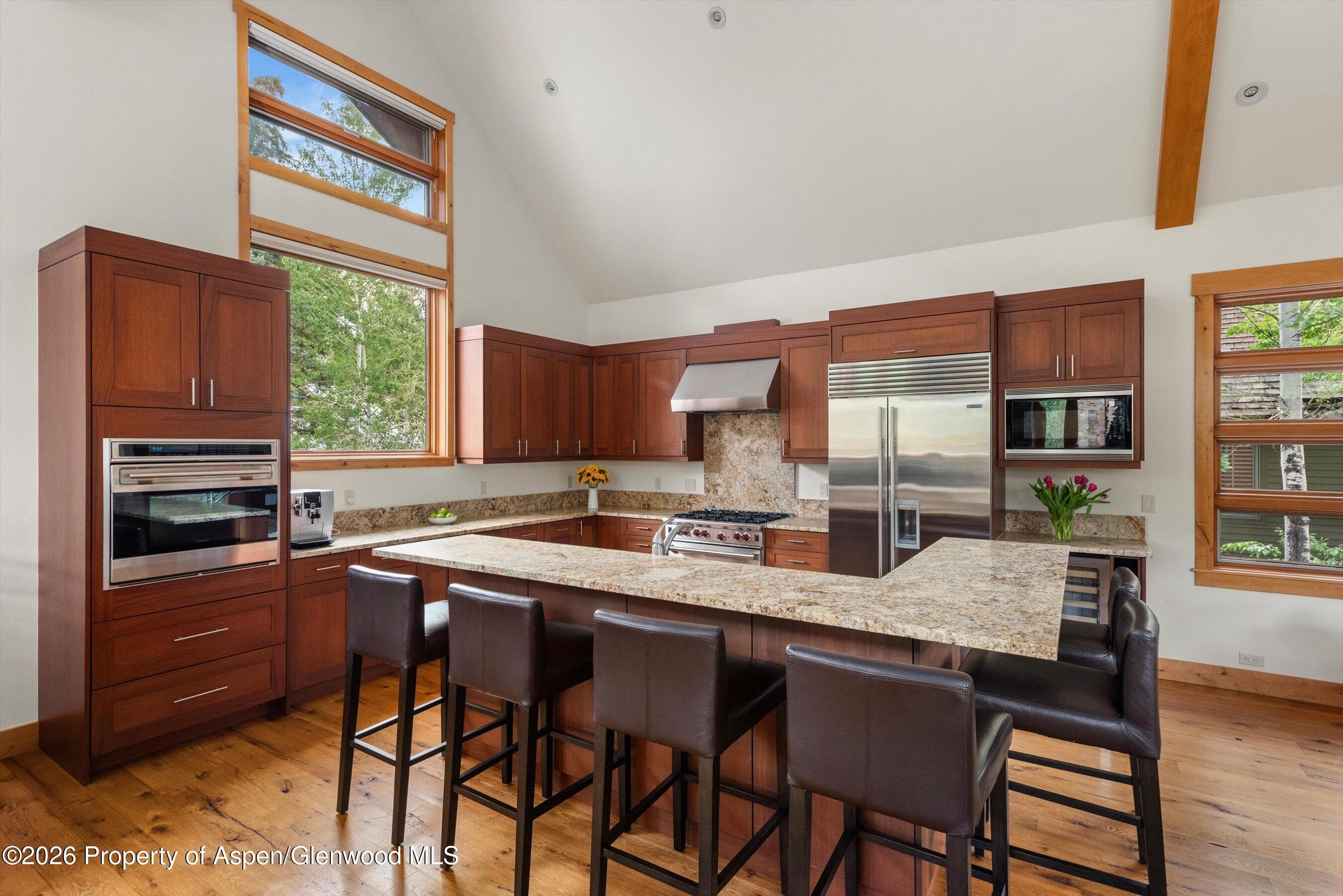 115 Park Avenue, Aspen, CO 81611 - Photo 7