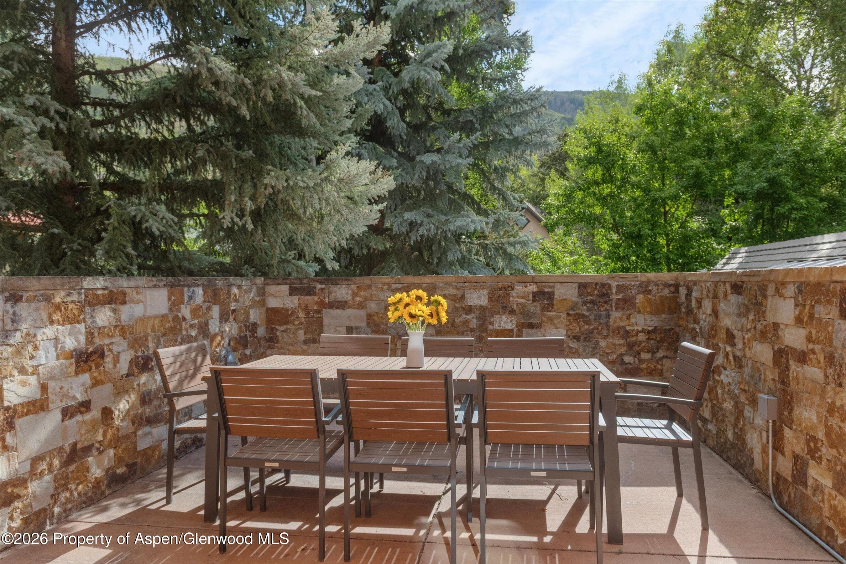 115 Park Avenue, Aspen, CO 81611 - Photo 17