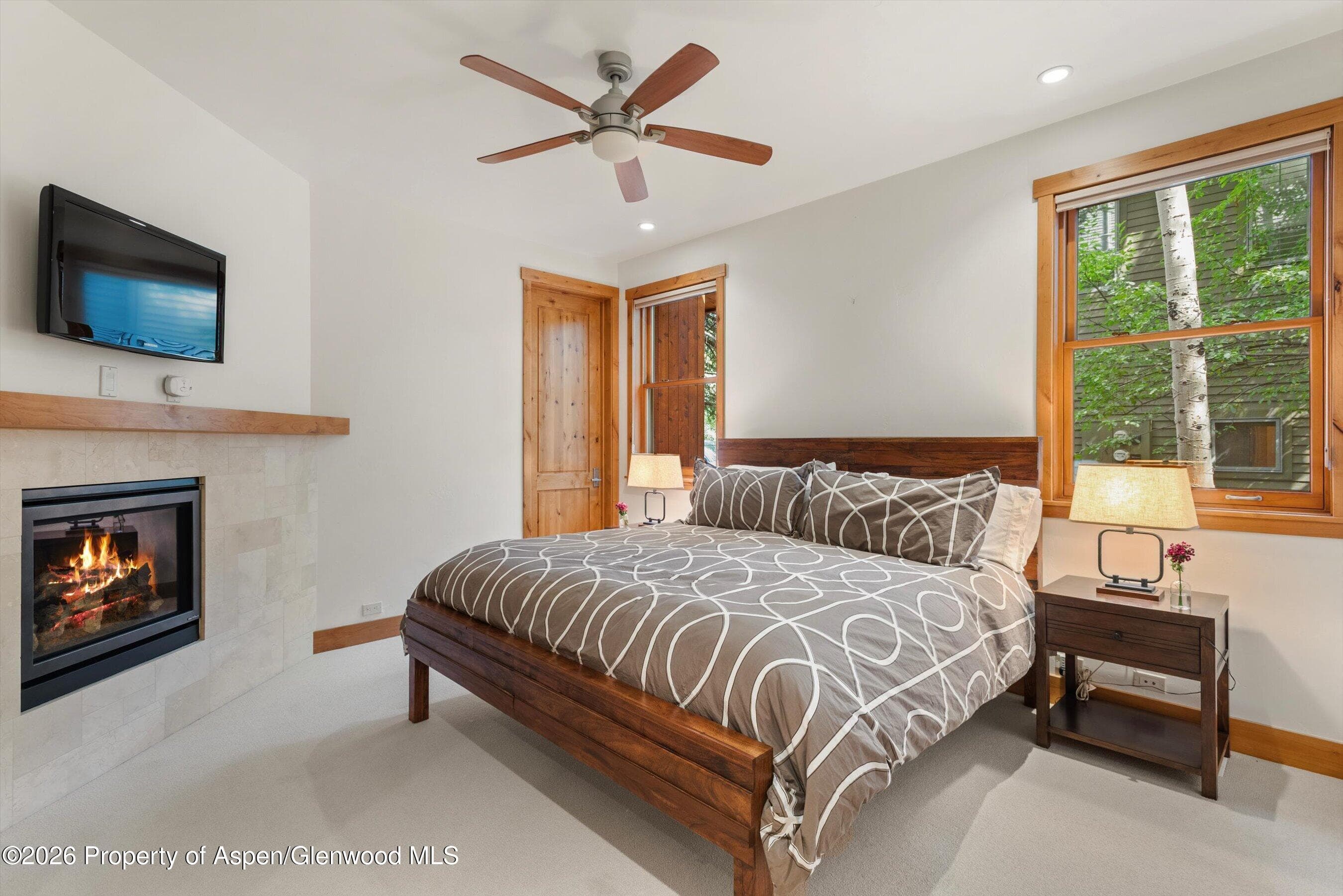 115 Park Avenue, Aspen, CO 81611 - Photo 20