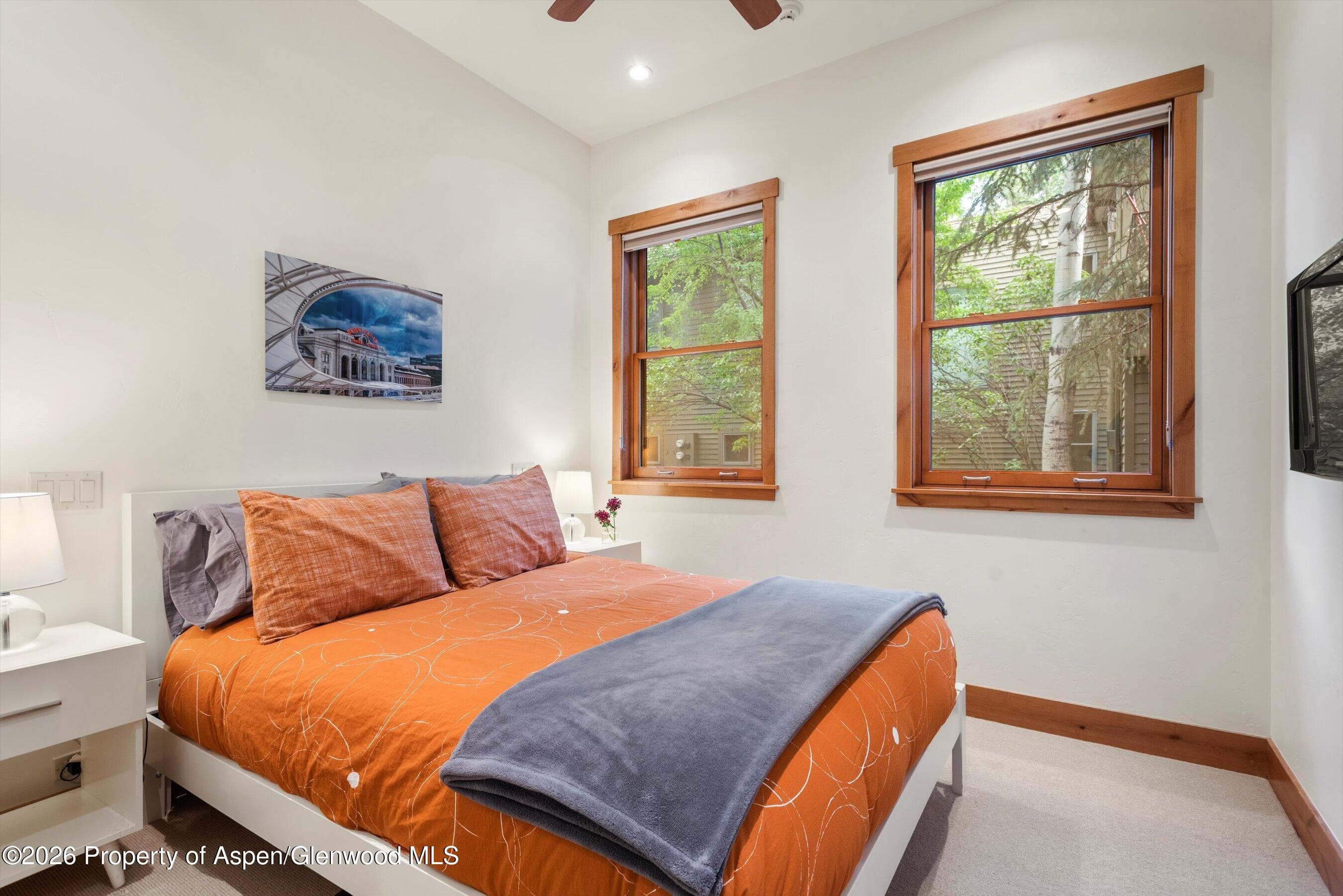 115 Park Avenue, Aspen, CO 81611 - Photo 23
