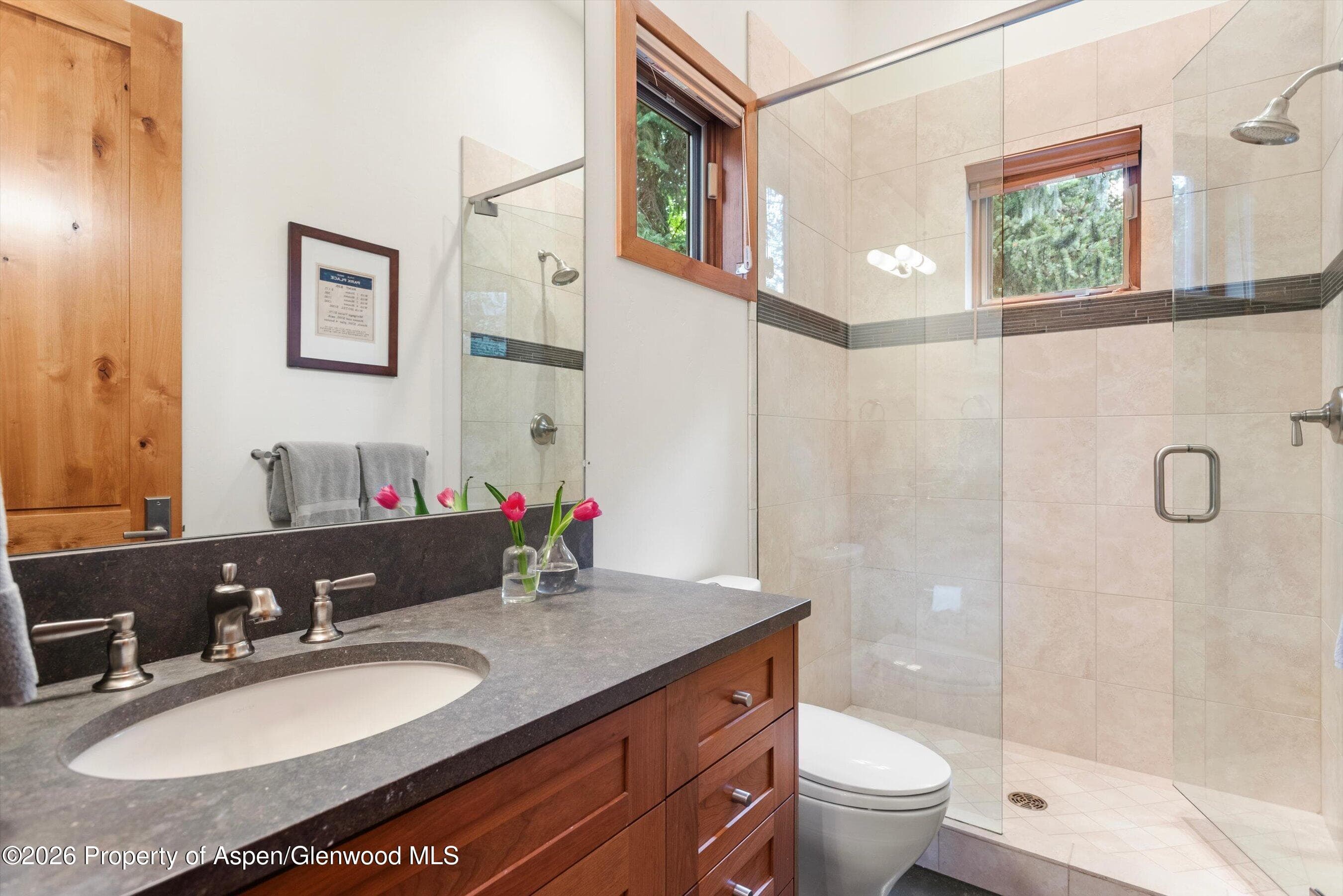 115 Park Avenue, Aspen, CO 81611 - Photo 24