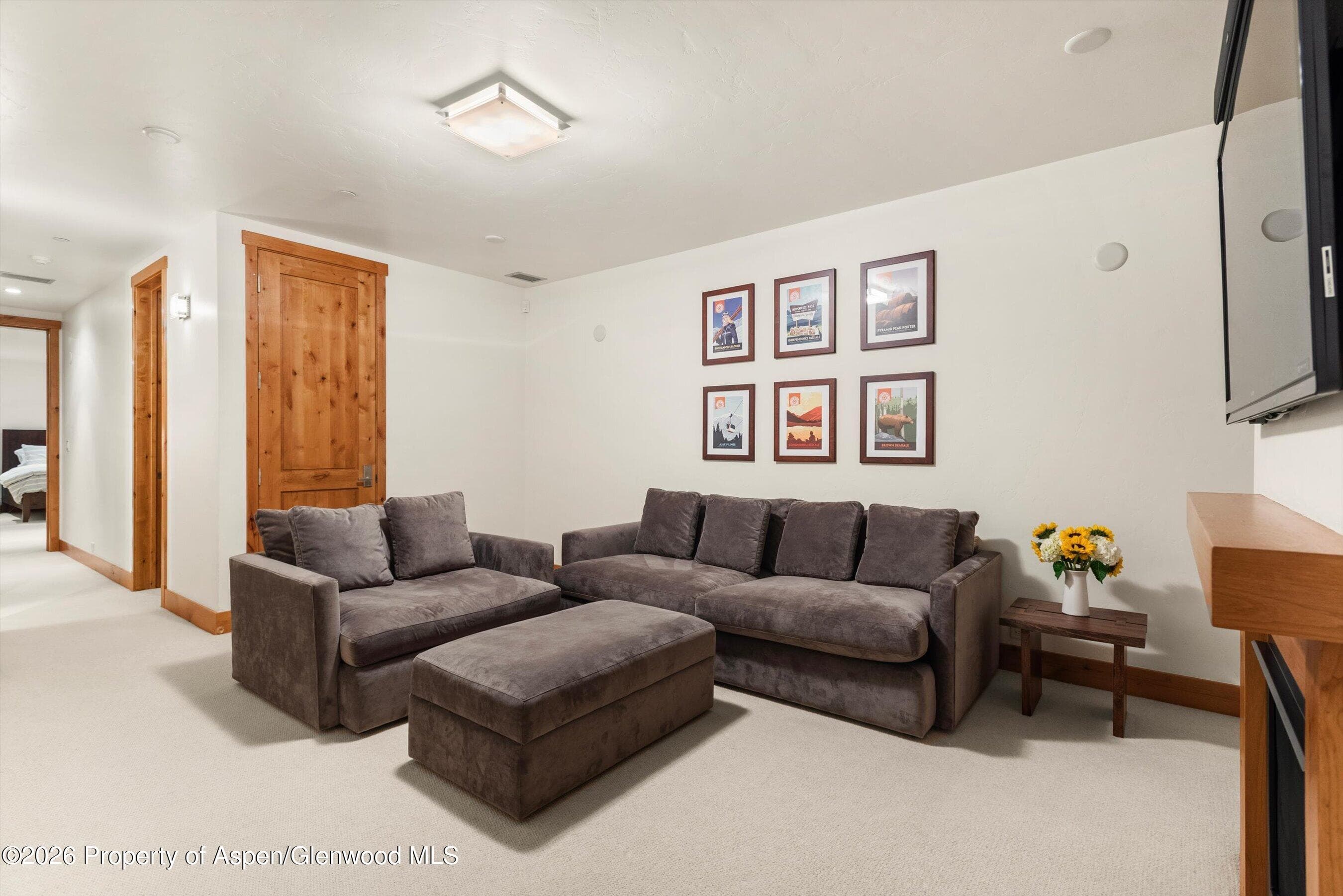 115 Park Avenue, Aspen, CO 81611 - Photo 25