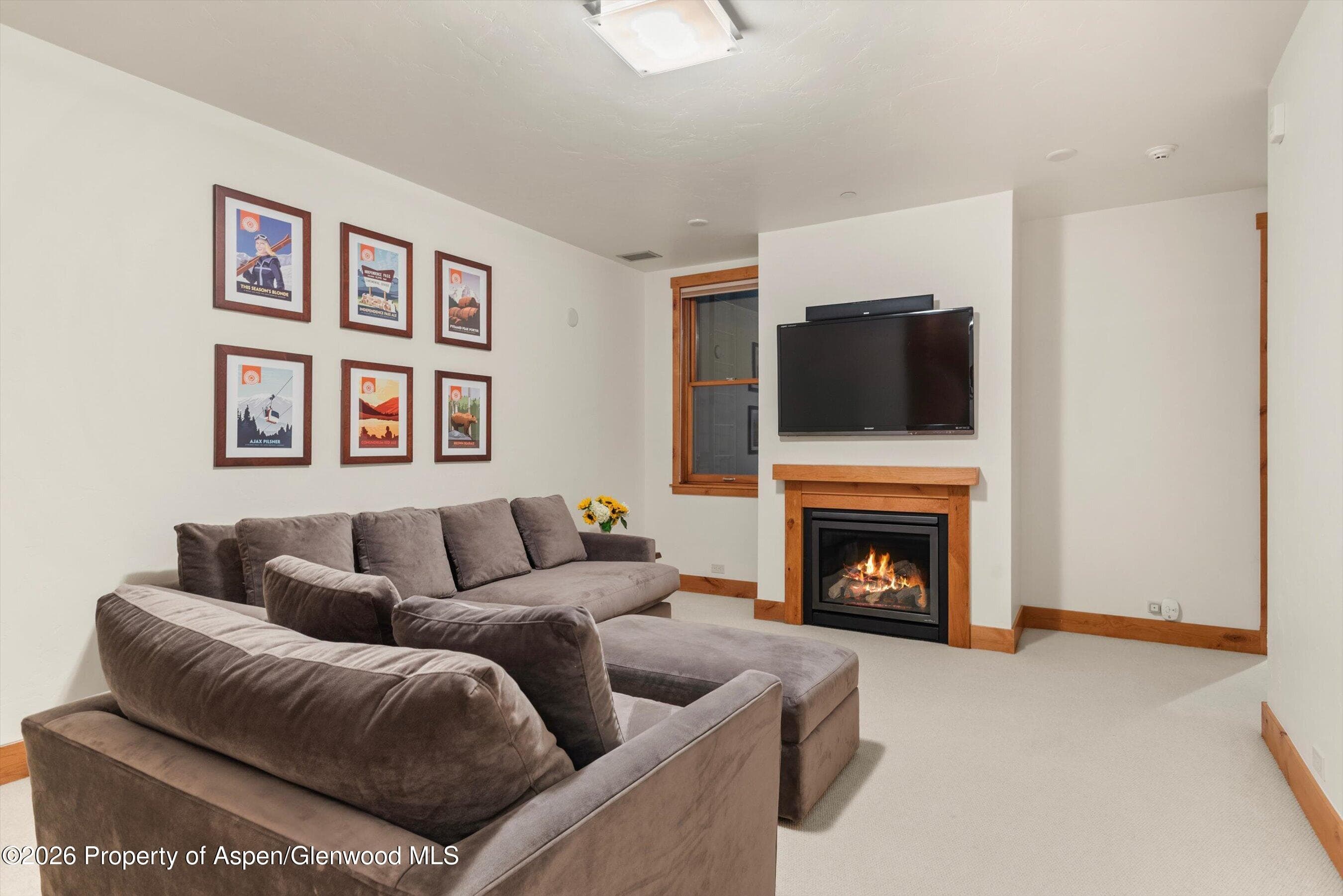 115 Park Avenue, Aspen, CO 81611 - Photo 26