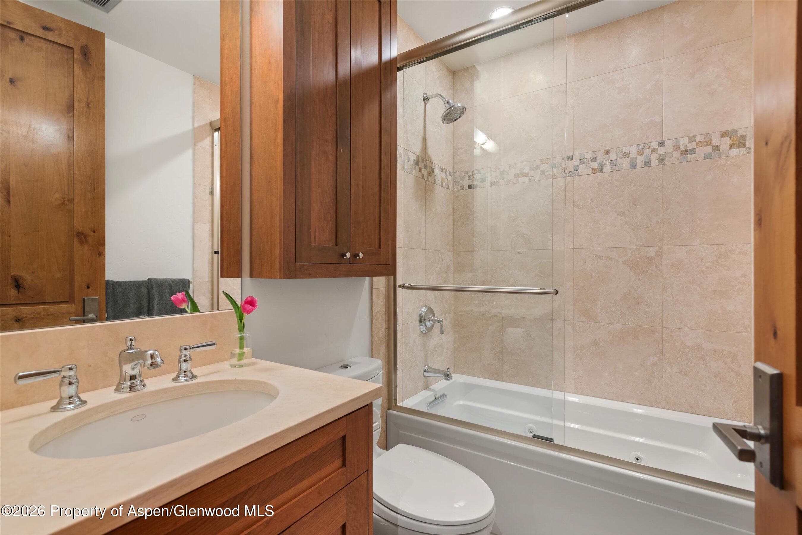 115 Park Avenue, Aspen, CO 81611 - Photo 28