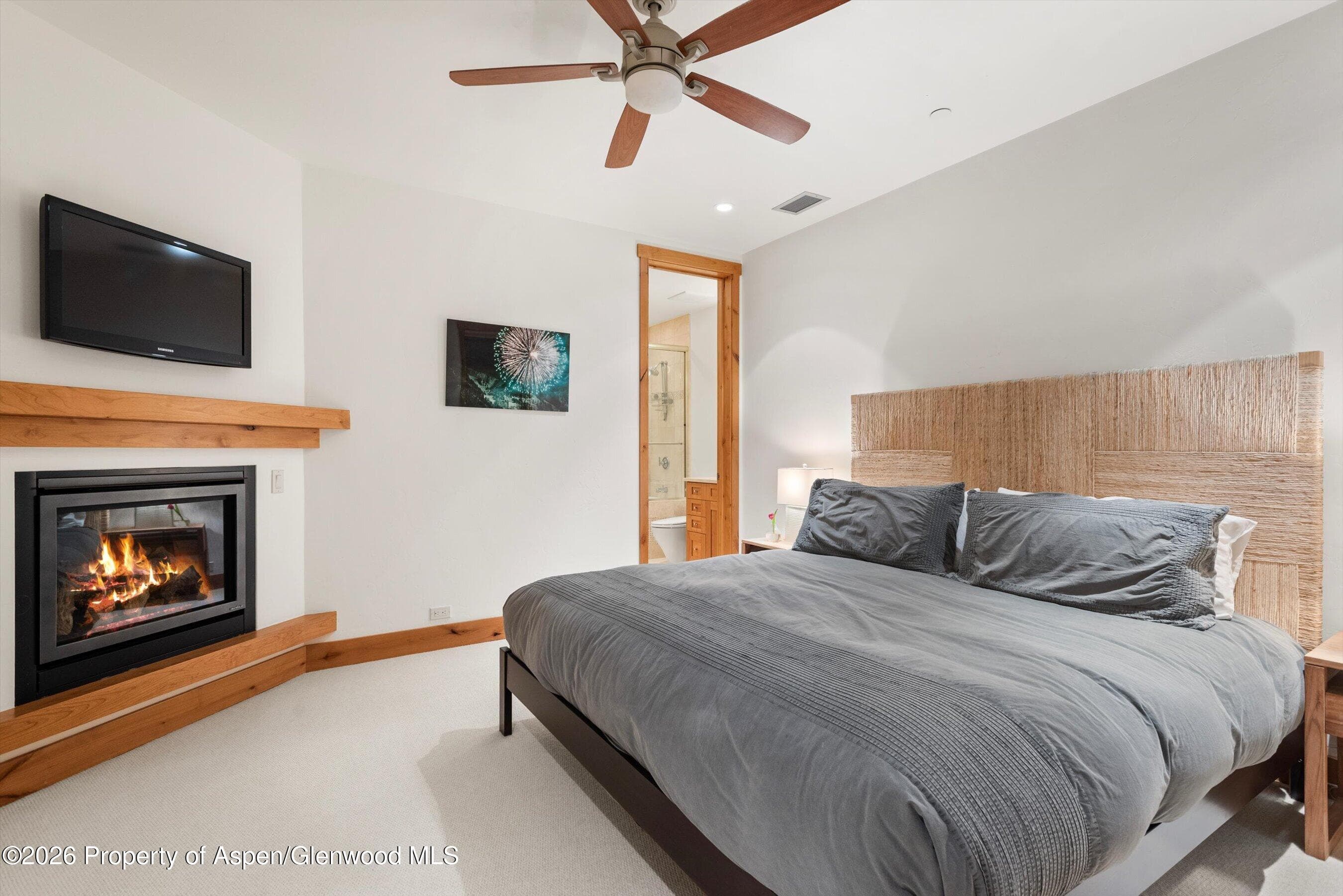115 Park Avenue, Aspen, CO 81611 - Photo 29