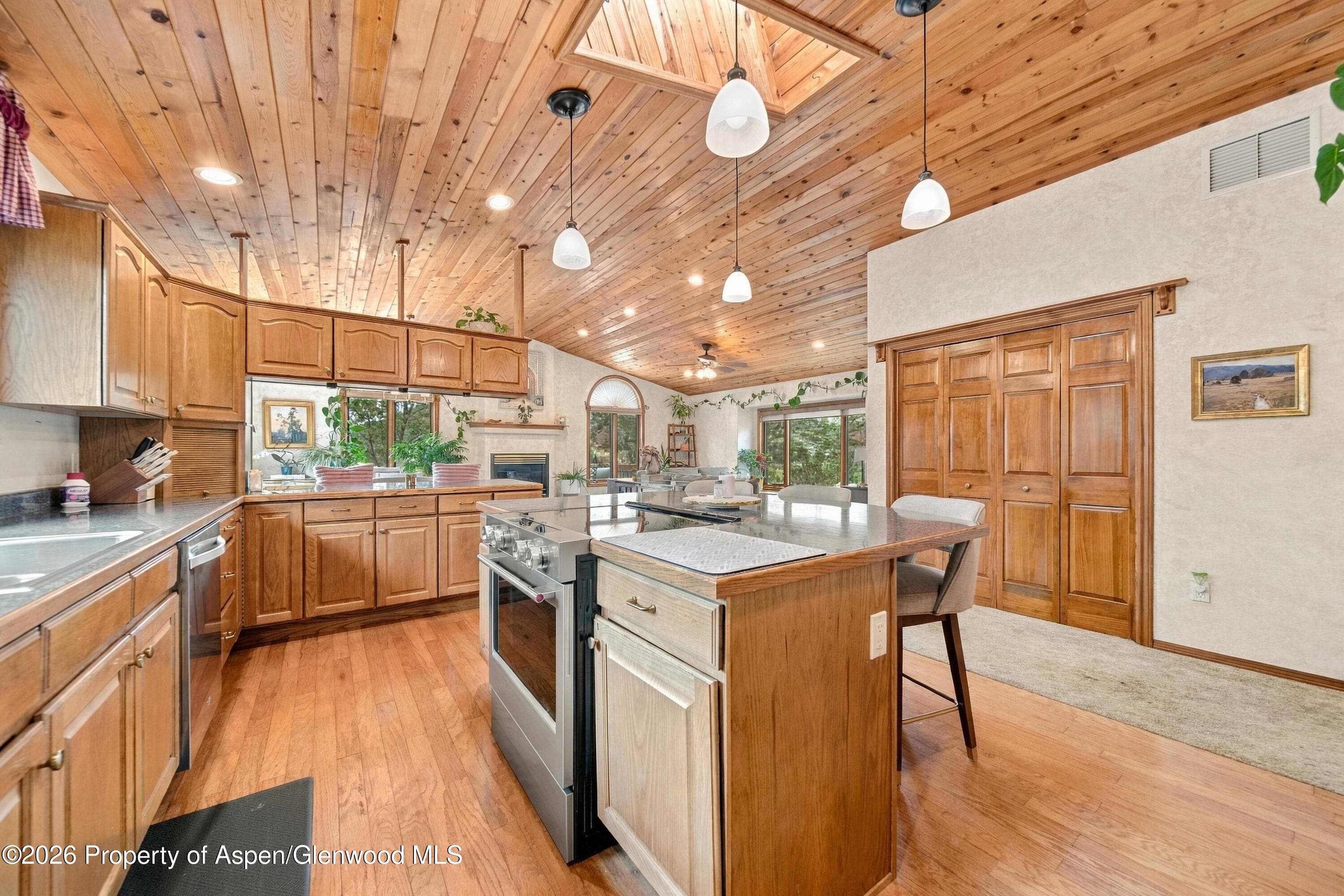 687 Canyon Creek Drive, Glenwood Springs, CO 81601 - Photo 5