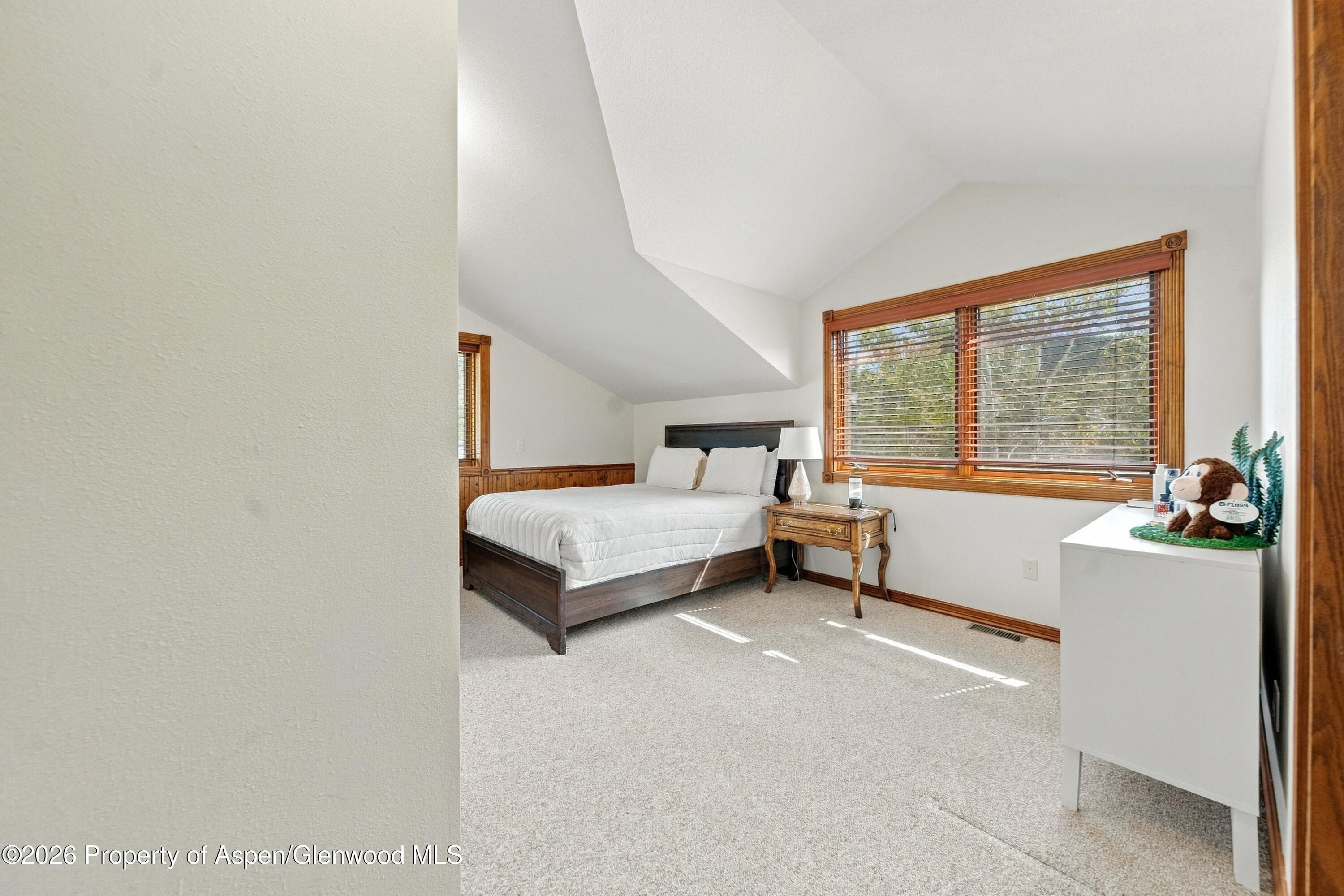 687 Canyon Creek Drive, Glenwood Springs, CO 81601 - Photo 17