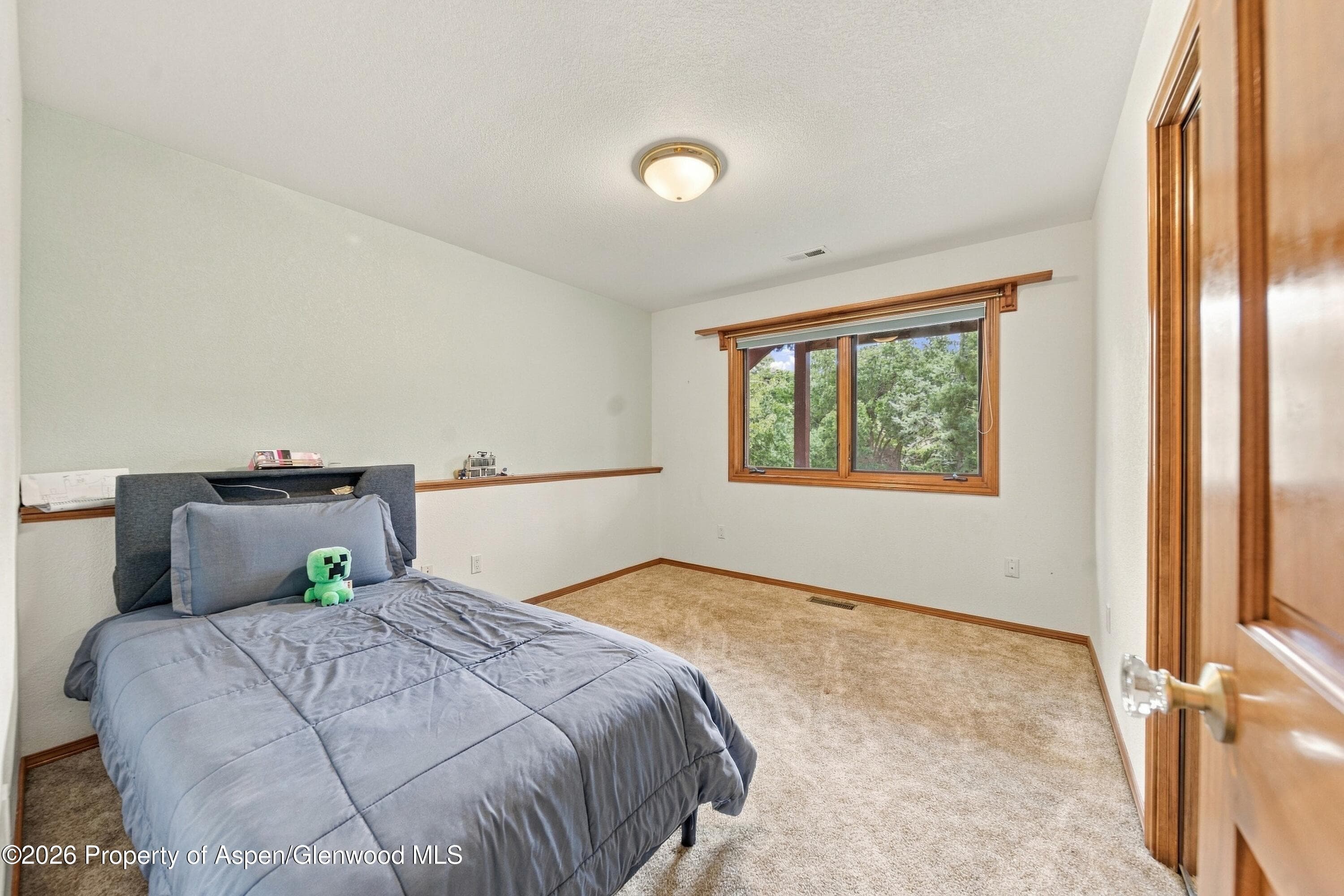 687 Canyon Creek Drive, Glenwood Springs, CO 81601 - Photo 19