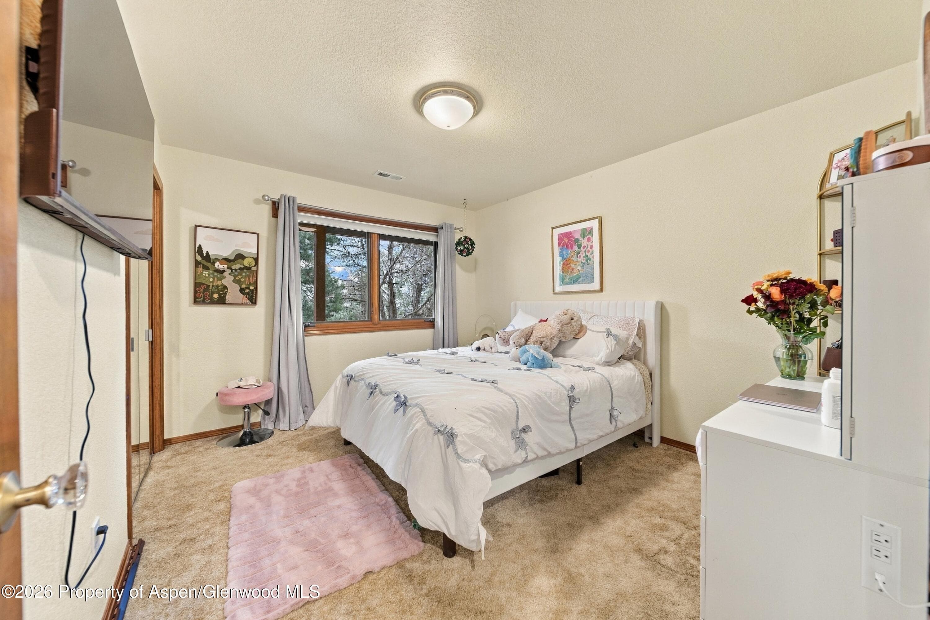 687 Canyon Creek Drive, Glenwood Springs, CO 81601 - Photo 14