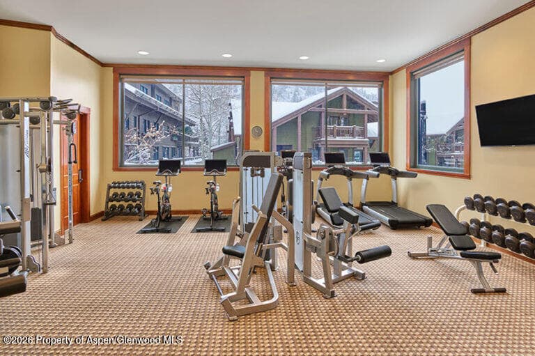 39 Boomerang Road 8310-9, Aspen, CO 81611 - Photo 11