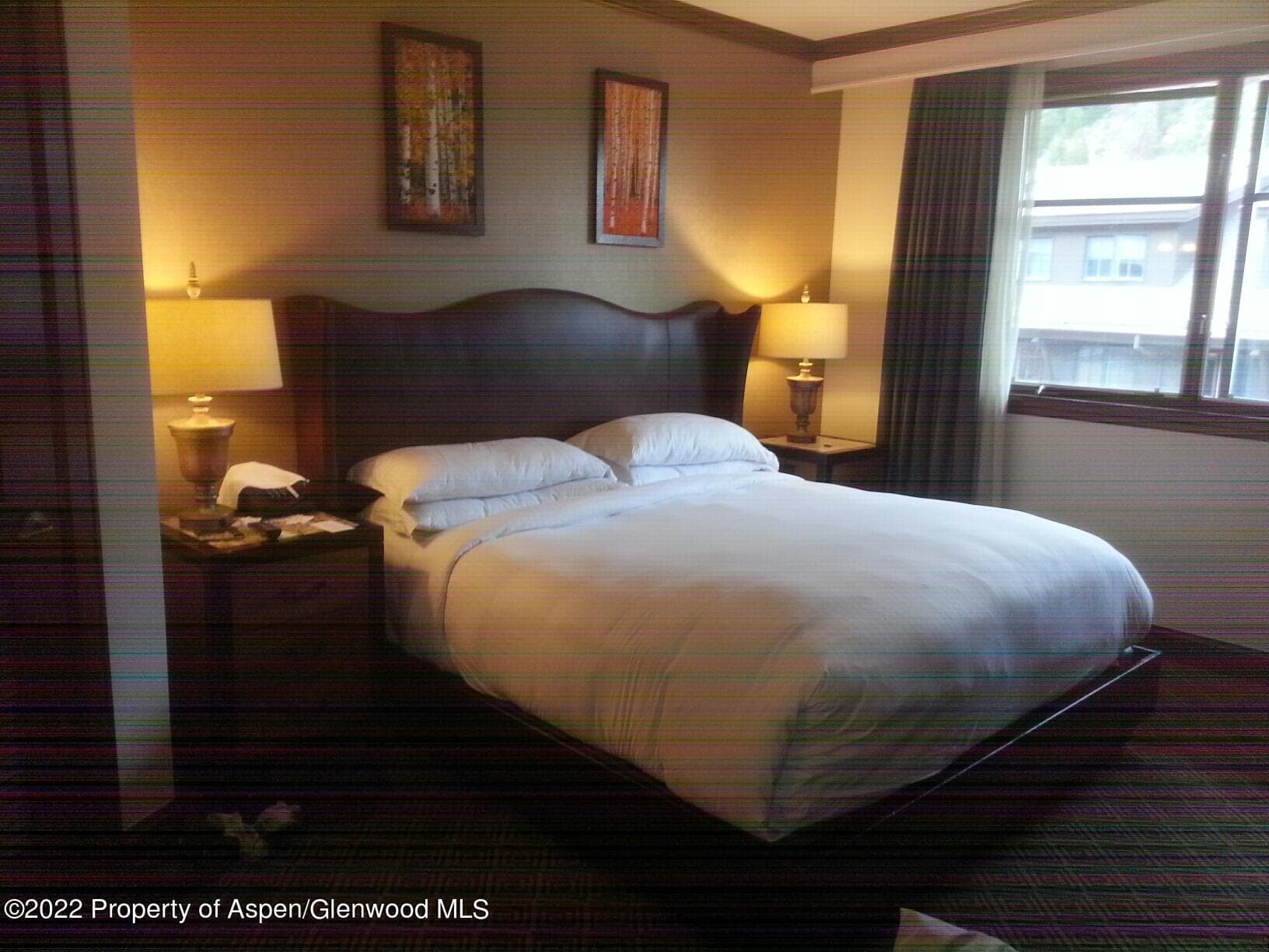 0197 Prospector Road Unit 2202 Summer Interest 11, Aspen, CO 81611 - Photo 27