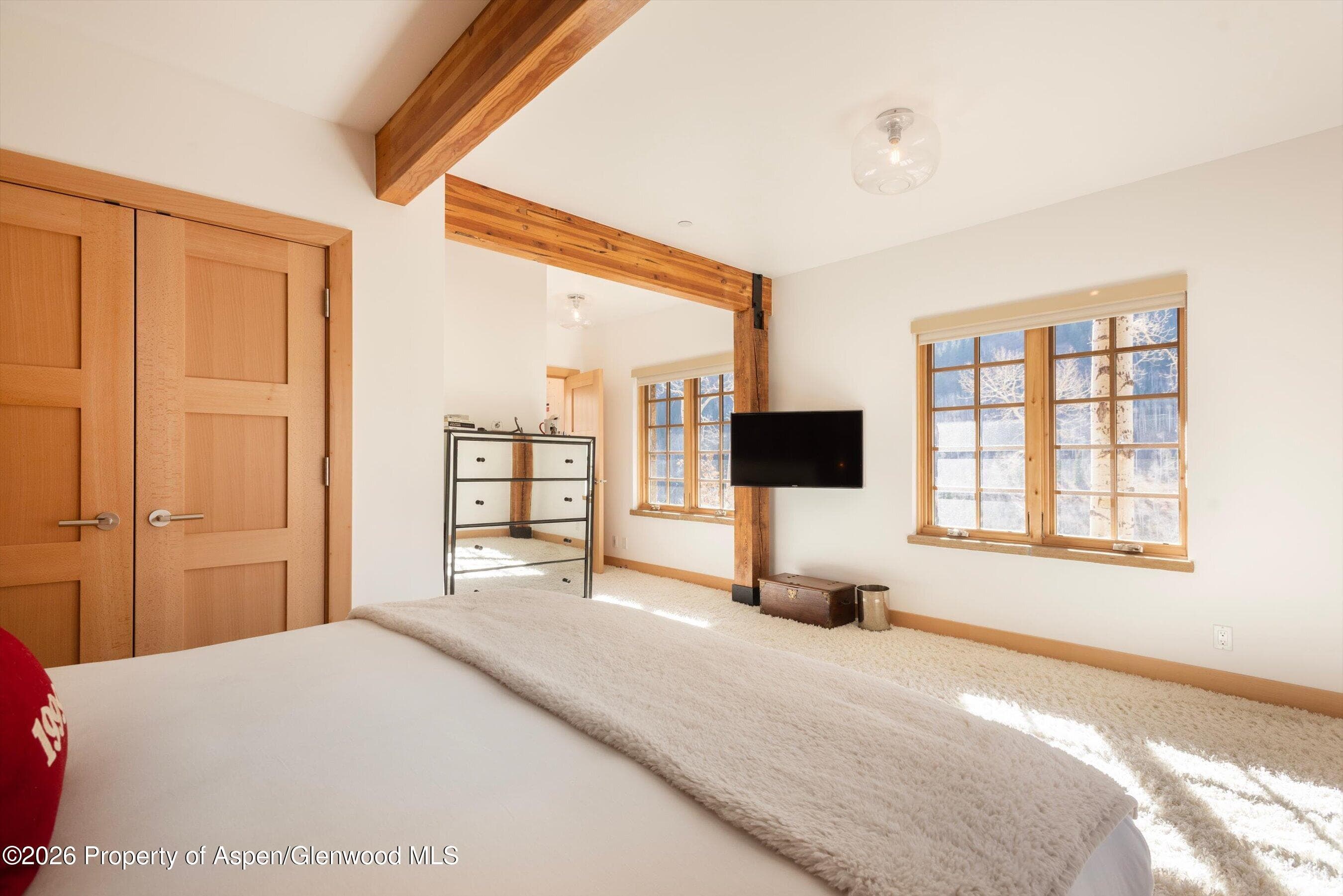 6770 Castle Creek Road, Aspen, CO 81611 - Photo 22
